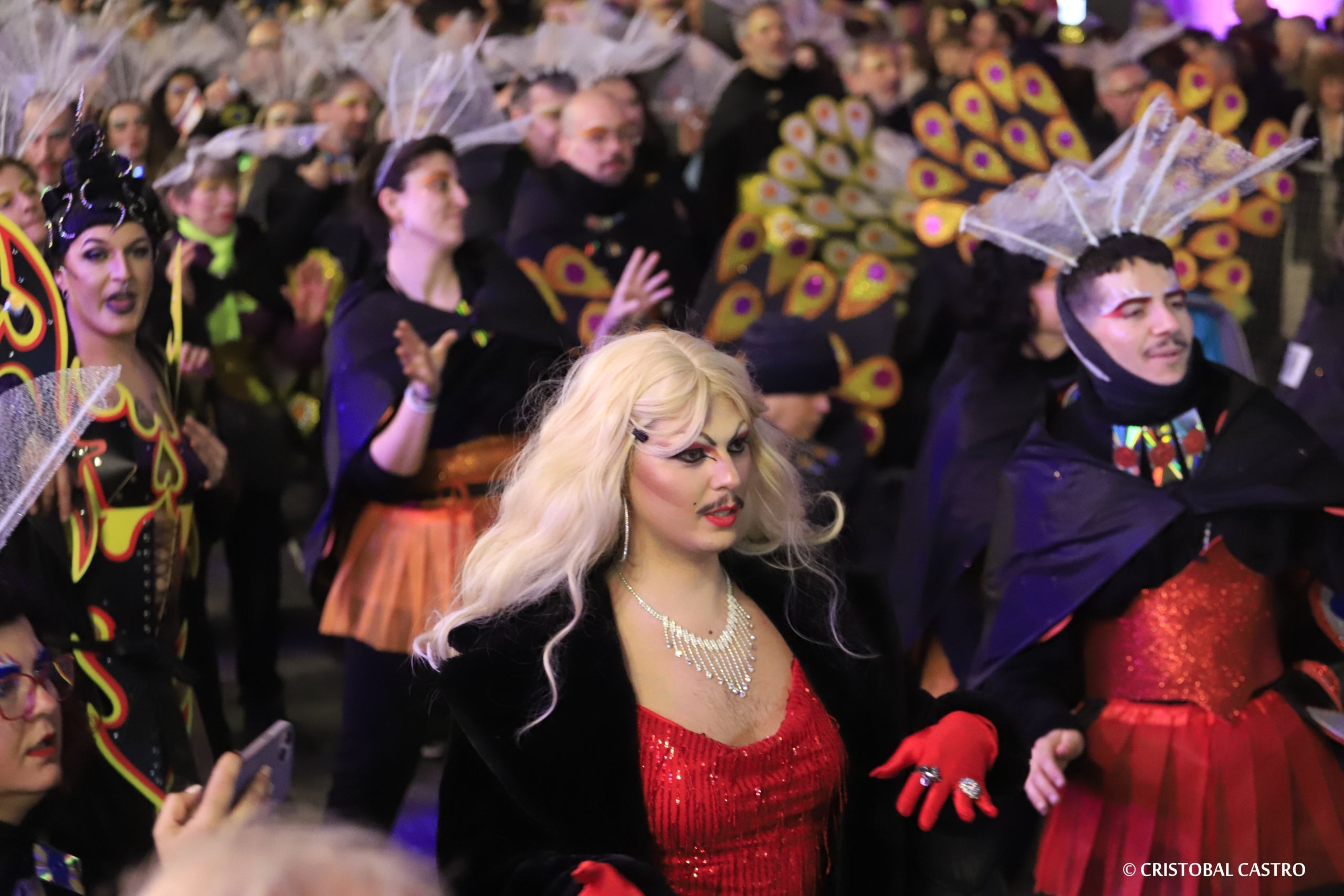 Rua de Carnestoltes de Terrassa 2024