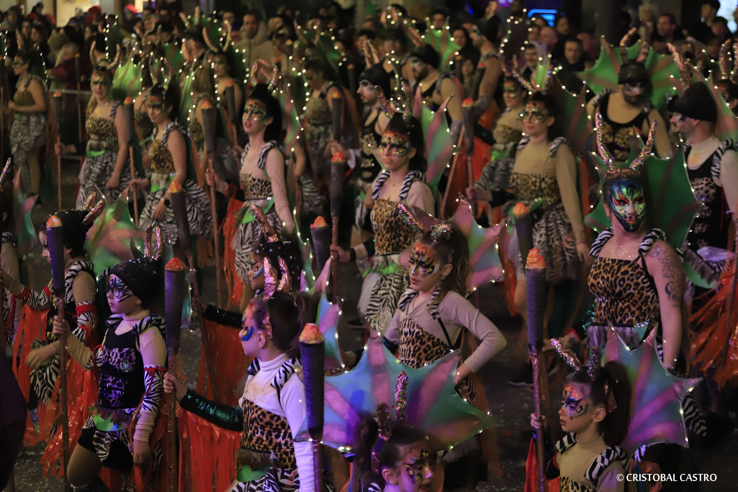 Rua de Carnestoltes de Terrassa 2024