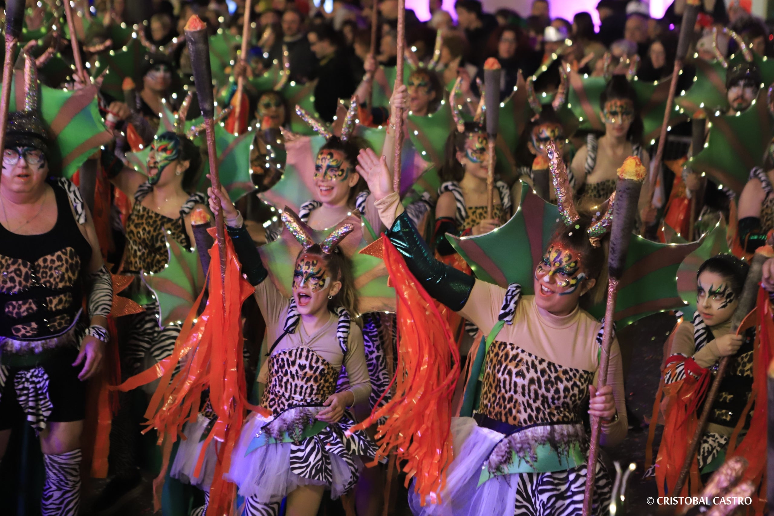 Rua de Carnestoltes de Terrassa 2024