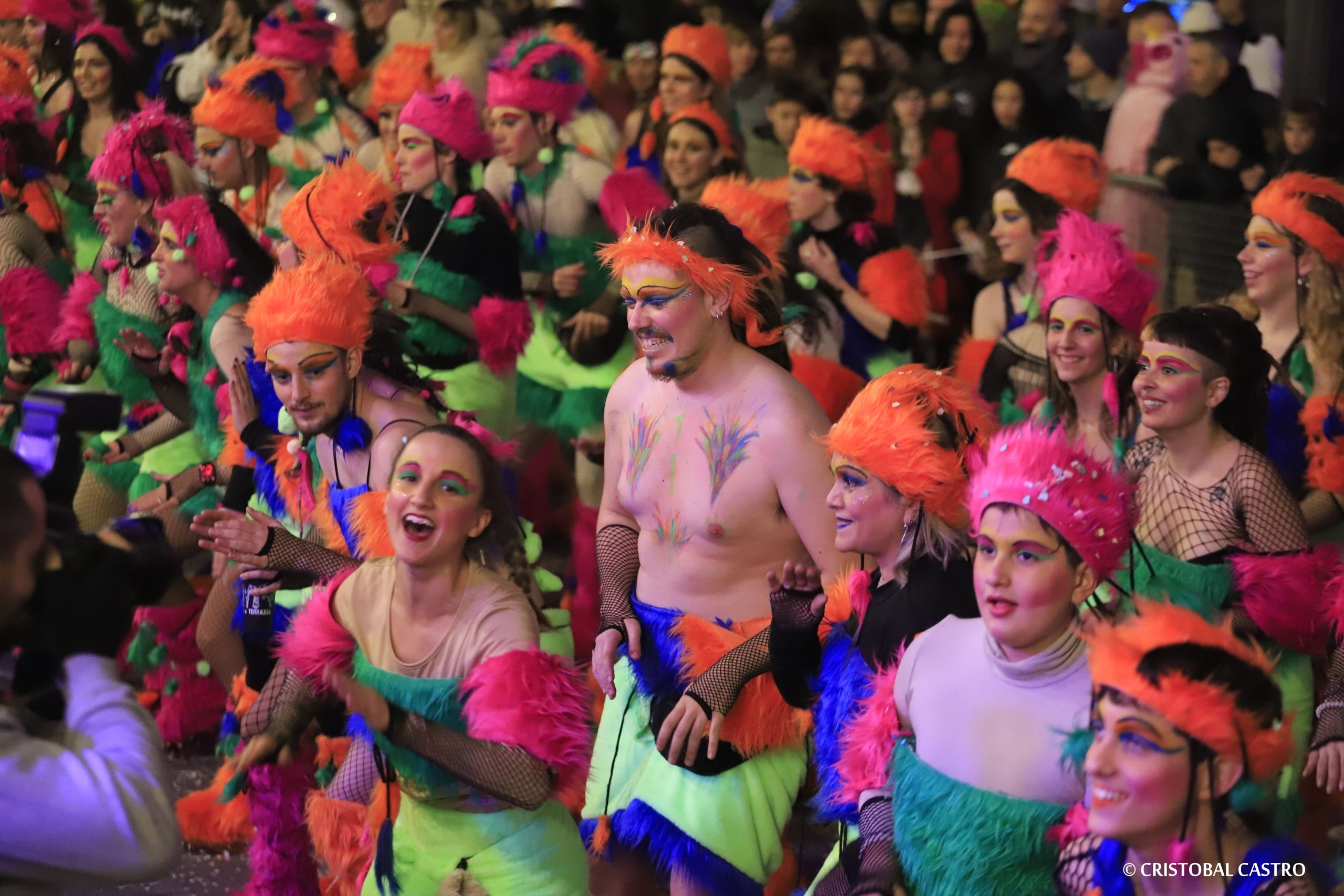 Rua de Carnestoltes de Terrassa 2024