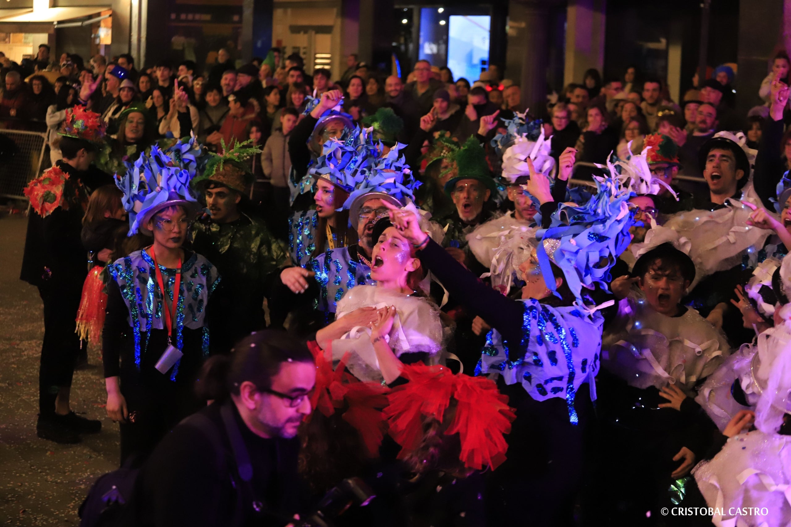 Rua de Carnestoltes de Terrassa 2024