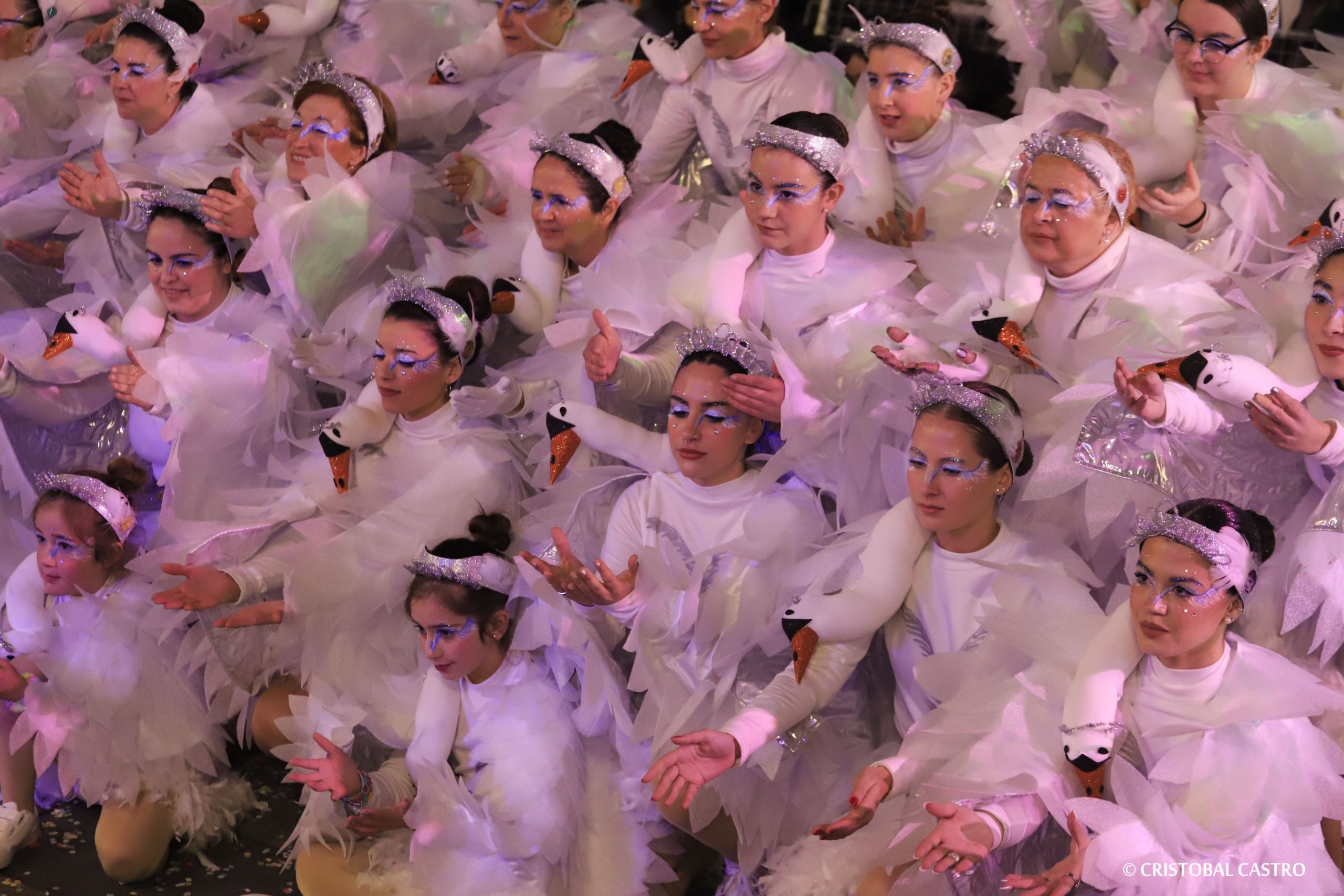 Rua de Carnestoltes de Terrassa 2024