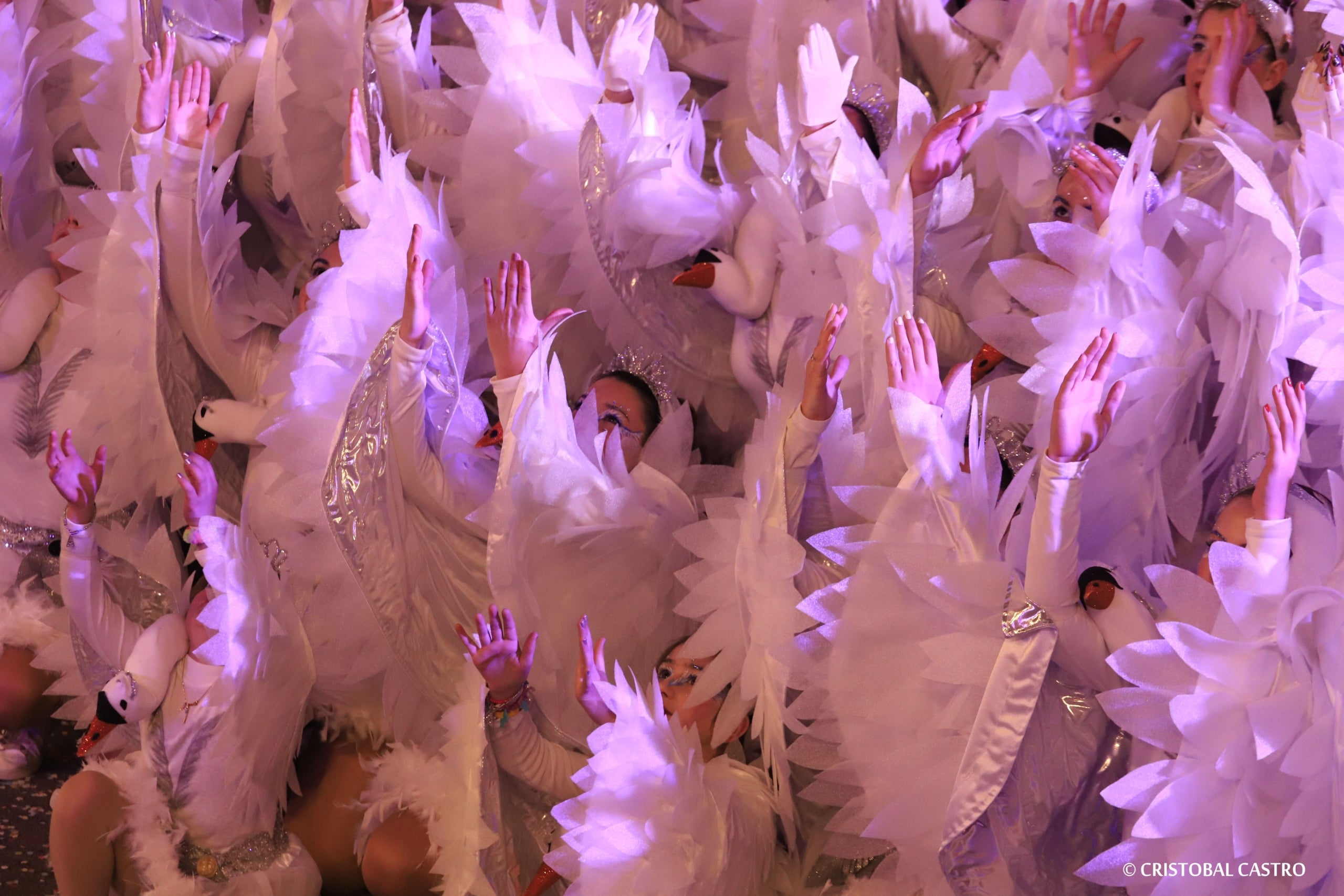 Rua de Carnestoltes de Terrassa 2024