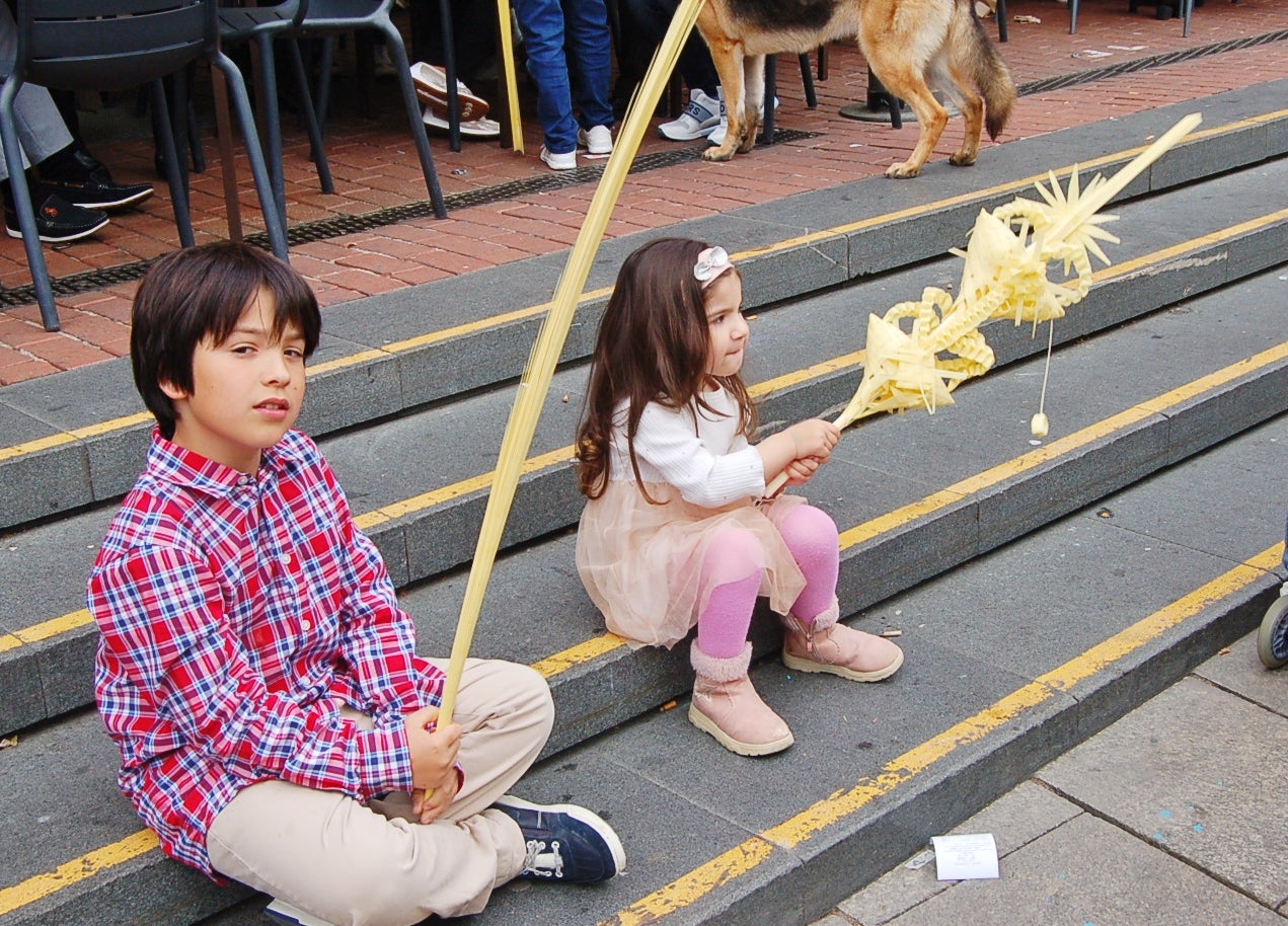 Diumenge de Rams a la plaça Vella de Terrassa. L’Església commemora l’entrada de Jesús a Jerusalem, segons es relata en els evangelis, essent aclamat pel poble que l’acompanya amb les típiques palmes i branques d’olivera.