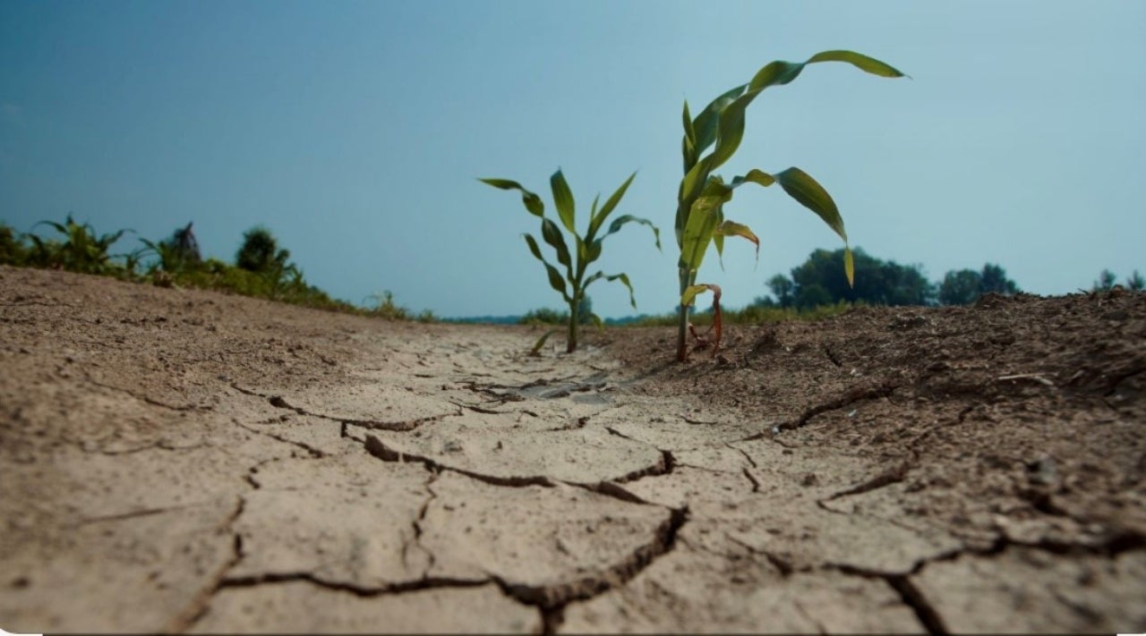 El Vallès Occidental ja compta amb un Pla d’adaptació al canvi climàtic | CCVO
