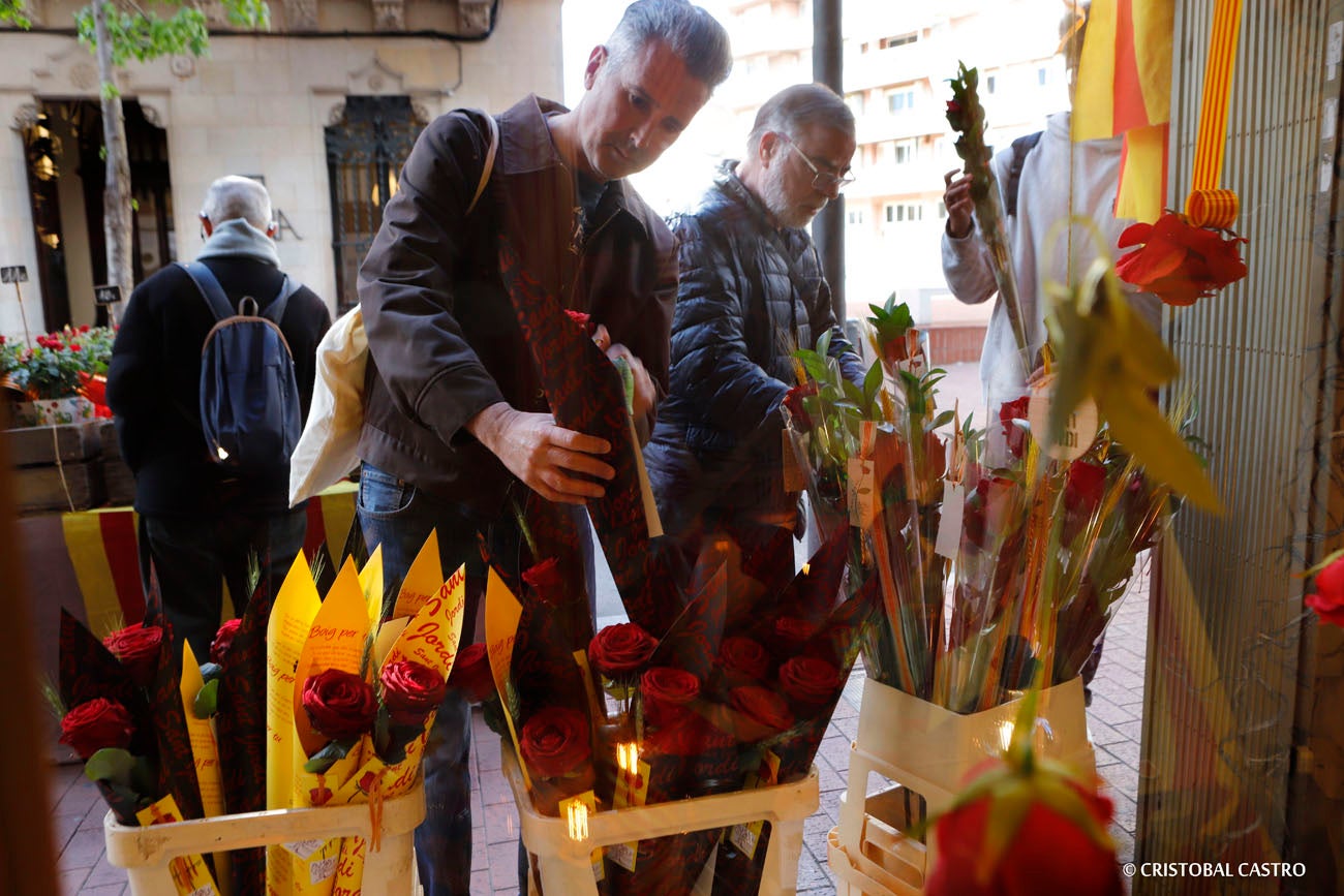 Terrassencs i terrassenques han tornat a sortir al carrer per gaudir de la diada de Sant Jordi 2024. Uns 260 punts de venda, situats sobretot al centre de la ciutat, ofereixen llibres i roses a la multitud que no es vol perdre el dia més bonic de l'any.