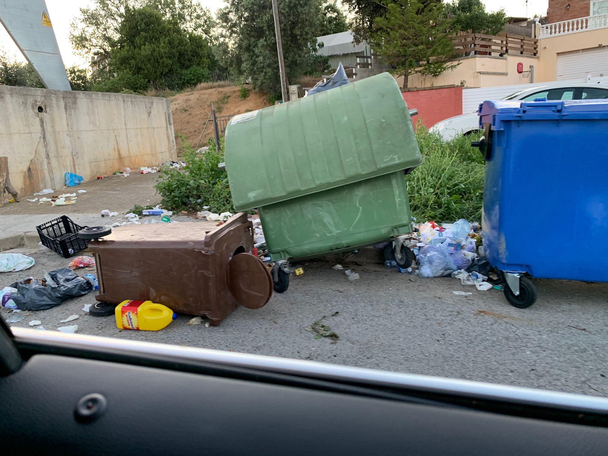 Contenidors tombats a Can Palet de Vista Alegre | @arkanodin