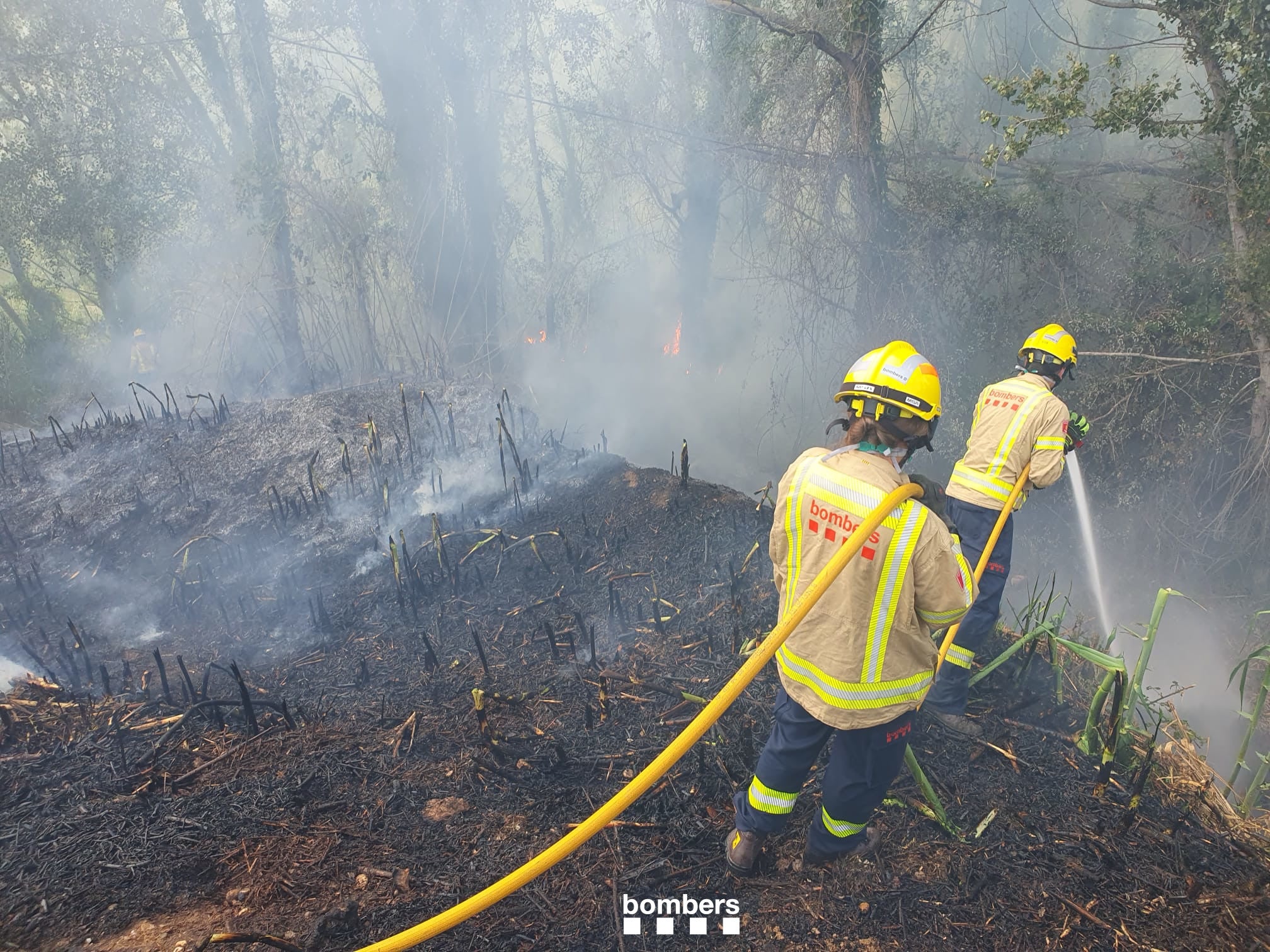 Un incendi crema una zona de canyes a Viladecavalls | Bombers de la Generalitat de Catalunya