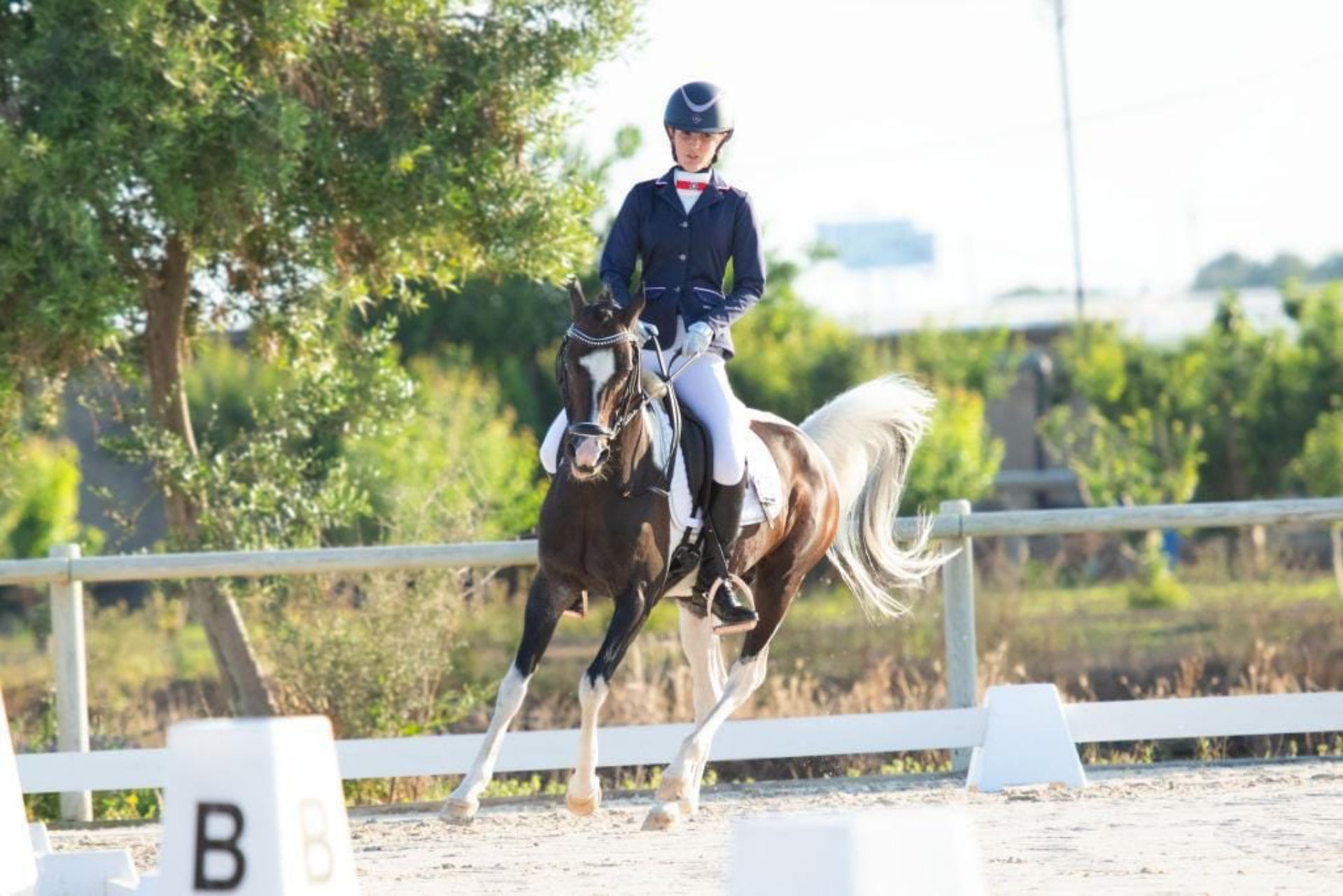 Gala Devís guanya el Campionat de Catalunya de Ponis de doma clàssica 2024 | Cedida