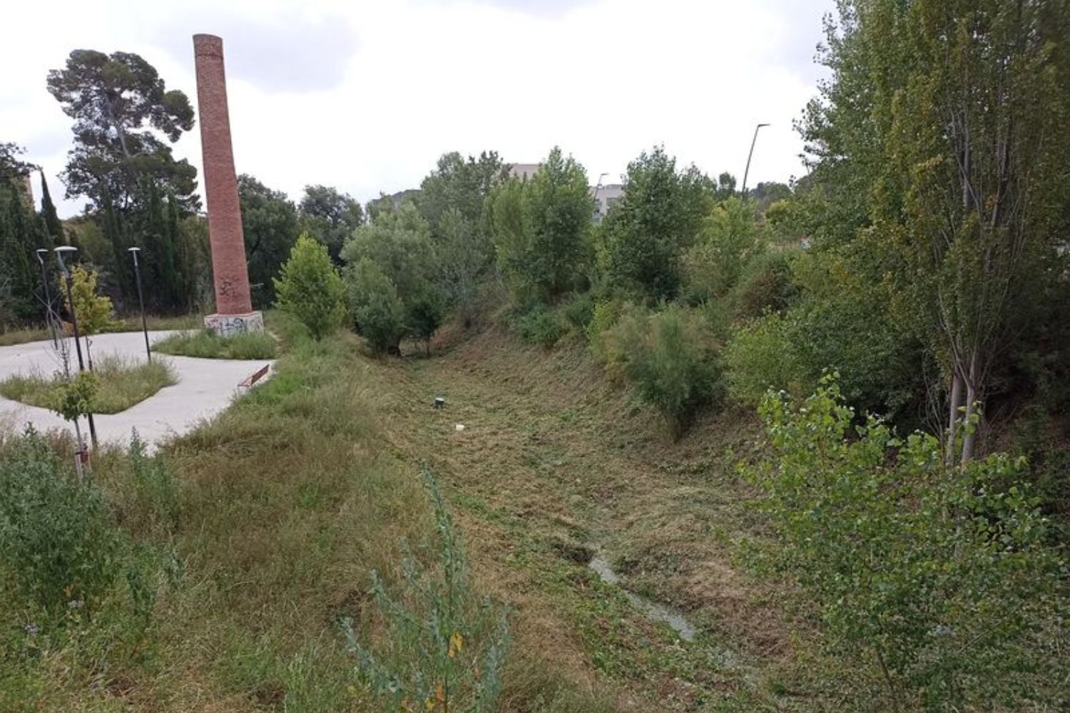 Desbrossada de vegetació en diferents punts del Torrent Mitger | Ajuntament de Terrassa