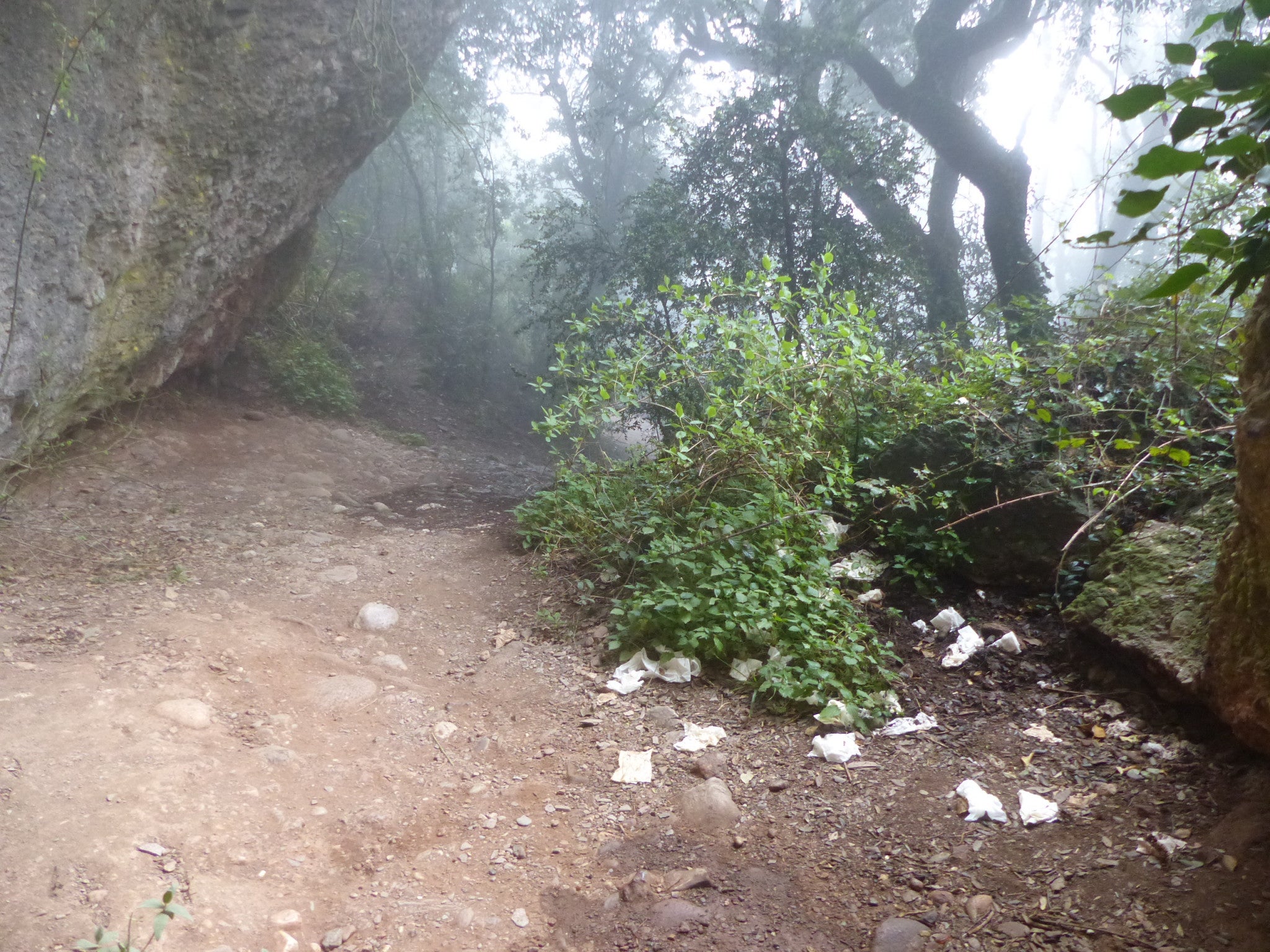 Camí de l'Hort dels Monjos / Diputació de Barcelona
