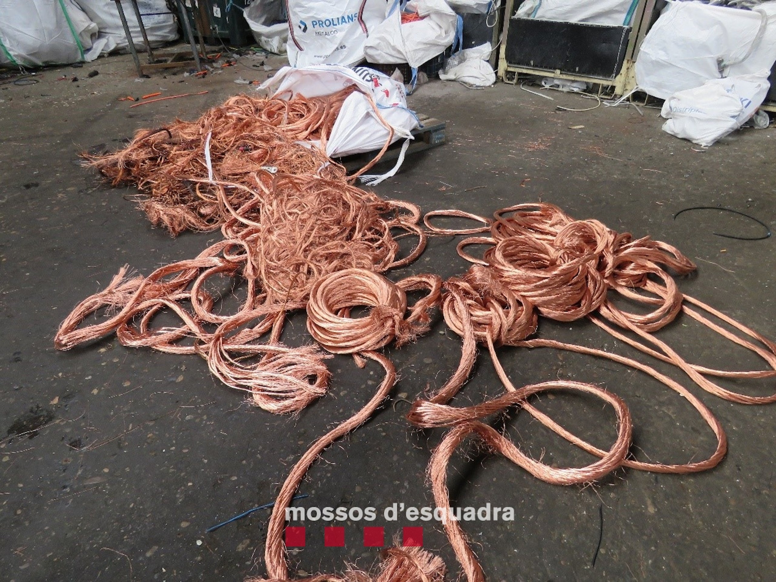 Cable recuperat pels Mossos d'Esquadra sostret en estacions de tren | Mossos