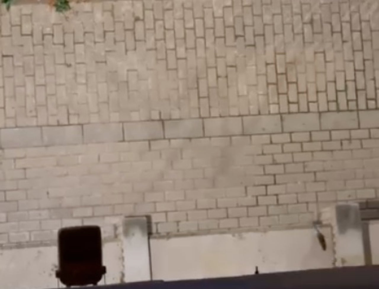 Una rata (a baix a la dreta) passejant-se per un carrer de Roc Blanc | Cedida