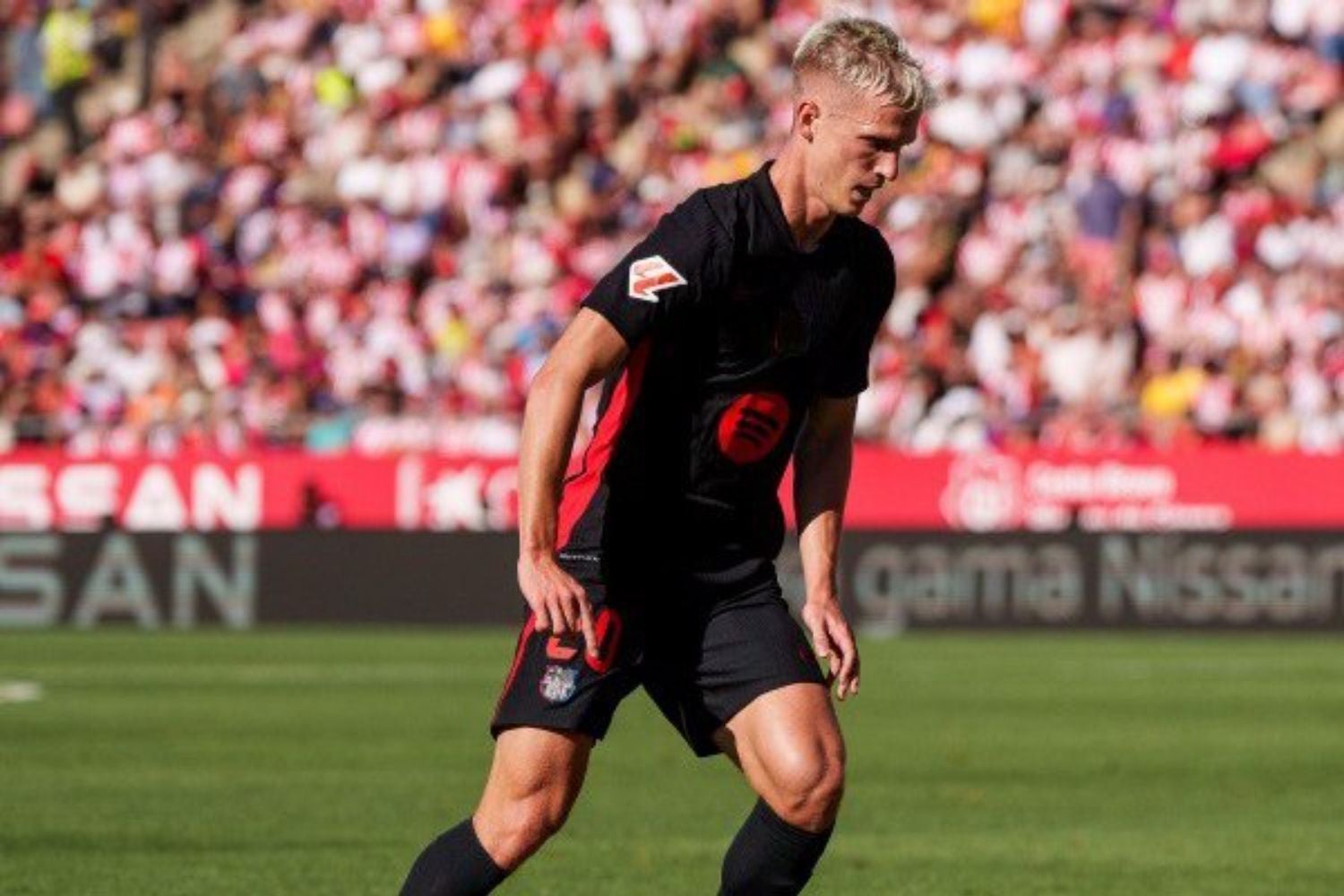 Dani Olmo serà baixa durant un mes per una lesió al bíceps femoral de la cuixa dreta | FC Barcelona