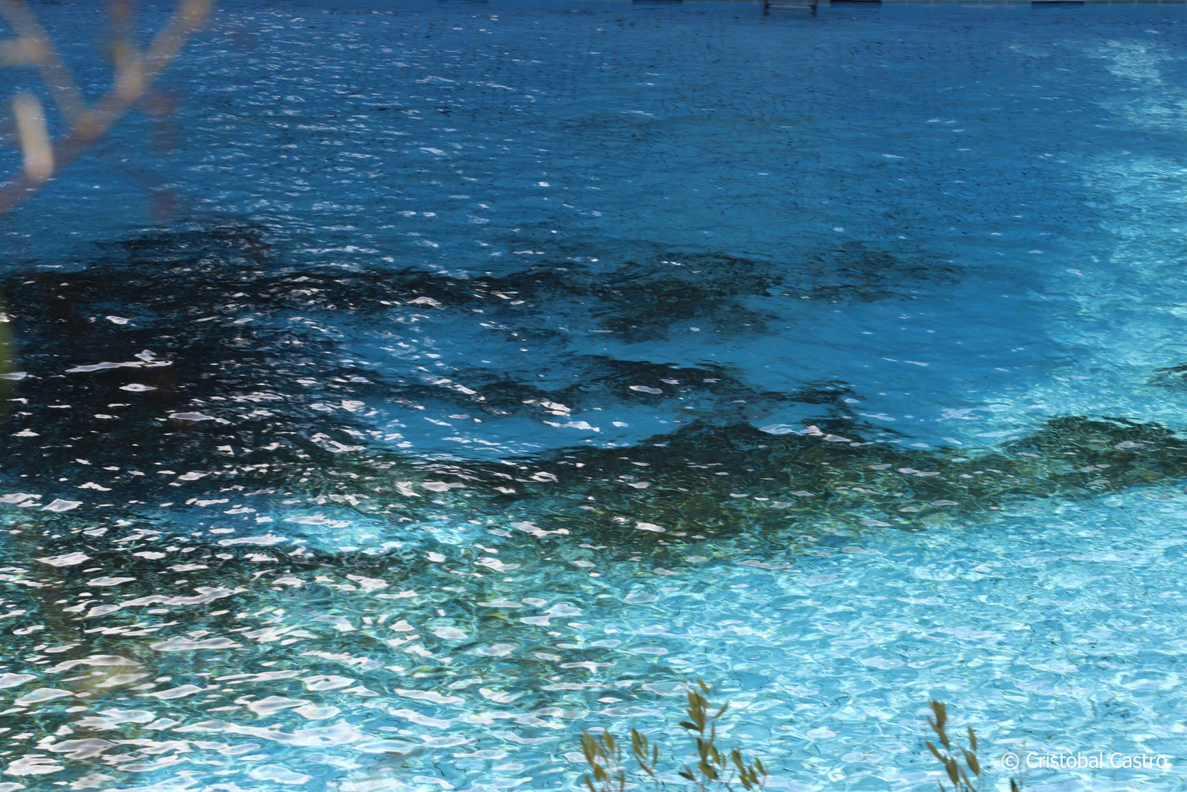 La piscina municipal de Vallparadís ha tancat aquest diumenge la temporada de bany 2024. No ha estat el seu millor any, no per la quantitat de persones que n'han fet ús, sinó per l'aspecte que ha presentat. Pocs dies s'ha pogut veure neta totalment, deixant aquella imatge enlluernadora d'una piscina blauturquesa. El color verd s'ha fet seu el terra. El motiu? Com ja van explicar fonts municipals a MónTerrassa, la sequera ha provocat que aquest any la zona verda estigués terriblement seca. Com a conseqüència, els usuaris que s'asseuen a descansar acaben portant sense voler els trossos de restes vegetals a dins de l'aigua, donant com a resultat aquesta imatge poc agradable a la vista., 