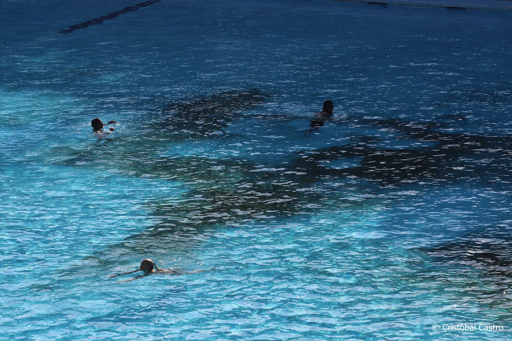 La piscina municipal de Vallparadís ha tancat aquest diumenge la temporada de bany 2024. No ha estat el seu millor any, no per la quantitat de persones que n'han fet ús, sinó per l'aspecte que ha presentat. Pocs dies s'ha pogut veure neta totalment, deixant aquella imatge enlluernadora d'una piscina blauturquesa. El color verd s'ha fet seu el terra. El motiu? Com ja van explicar fonts municipals a MónTerrassa, la sequera ha provocat que aquest any la zona verda estigués terriblement seca. Com a conseqüència, els usuaris que s'asseuen a descansar acaben portant sense voler els trossos de restes vegetals a dins de l'aigua, donant com a resultat aquesta imatge poc agradable a la vista., 