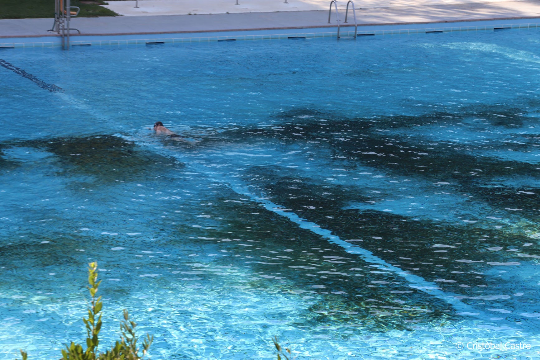La piscina municipal de Vallparadís ha tancat aquest diumenge la temporada de bany 2024. No ha estat el seu millor any, no per la quantitat de persones que n'han fet ús, sinó per l'aspecte que ha presentat. Pocs dies s'ha pogut veure neta totalment, deixant aquella imatge enlluernadora d'una piscina blauturquesa. El color verd s'ha fet seu el terra. El motiu? Com ja van explicar fonts municipals a MónTerrassa, la sequera ha provocat que aquest any la zona verda estigués terriblement seca. Com a conseqüència, els usuaris que s'asseuen a descansar acaben portant sense voler els trossos de restes vegetals a dins de l'aigua, donant com a resultat aquesta imatge poc agradable a la vista., 