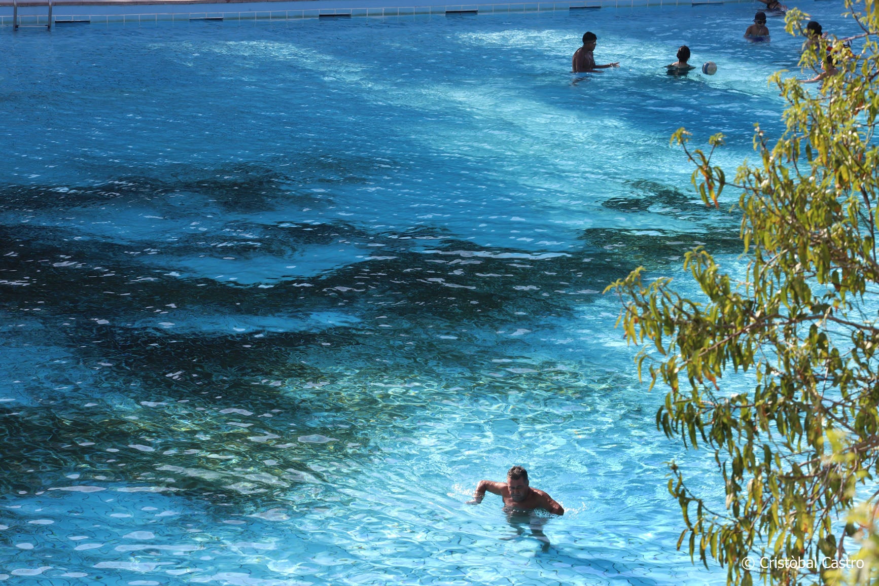 La piscina municipal de Vallparadís ha tancat aquest diumenge la temporada de bany 2024. No ha estat el seu millor any, no per la quantitat de persones que n'han fet ús, sinó per l'aspecte que ha presentat. Pocs dies s'ha pogut veure neta totalment, deixant aquella imatge enlluernadora d'una piscina blauturquesa. El color verd s'ha fet seu el terra. El motiu? Com ja van explicar fonts municipals a MónTerrassa, la sequera ha provocat que aquest any la zona verda estigués terriblement seca. Com a conseqüència, els usuaris que s'asseuen a descansar acaben portant sense voler els trossos de restes vegetals a dins de l'aigua, donant com a resultat aquesta imatge poc agradable a la vista., 