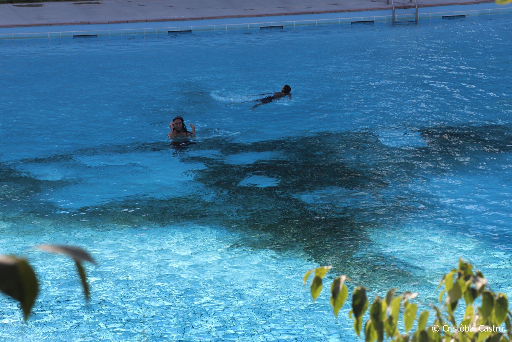 La piscina municipal de Vallparadís ha tancat aquest diumenge la temporada de bany 2024. No ha estat el seu millor any, no per la quantitat de persones que n'han fet ús, sinó per l'aspecte que ha presentat. Pocs dies s'ha pogut veure neta totalment, deixant aquella imatge enlluernadora d'una piscina blauturquesa. El color verd s'ha fet seu el terra. El motiu? Com ja van explicar fonts municipals a MónTerrassa, la sequera ha provocat que aquest any la zona verda estigués terriblement seca. Com a conseqüència, els usuaris que s'asseuen a descansar acaben portant sense voler els trossos de restes vegetals a dins de l'aigua, donant com a resultat aquesta imatge poc agradable a la vista., 