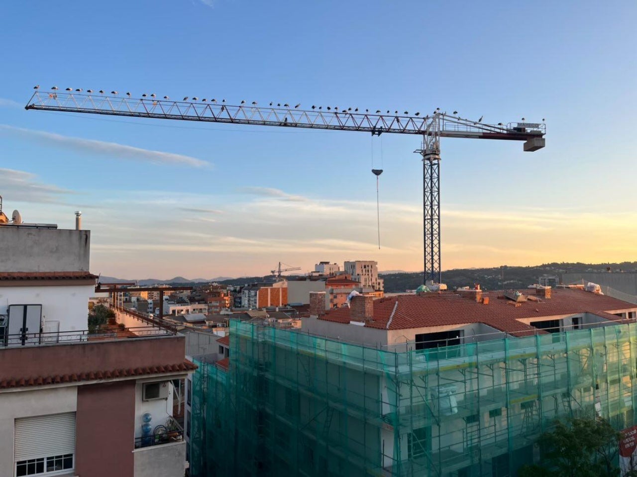 Un grup de cigonyes dalt d'una grua a Terrassa | Raúl Valdivia