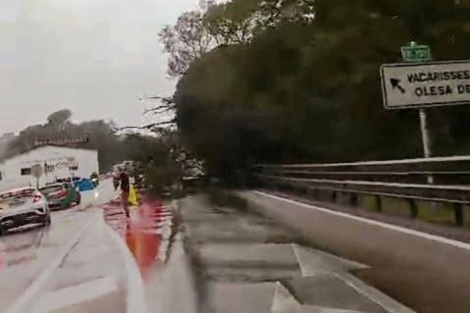 La caiguda d'un arbre ha deixat un carril tallat a la C-58 | Olga Serra
