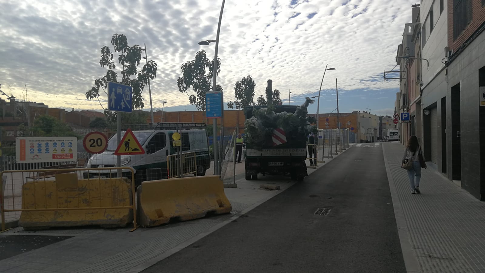 Operaris estan arrencant diversos arbres de la plaça del Gas | F.T.