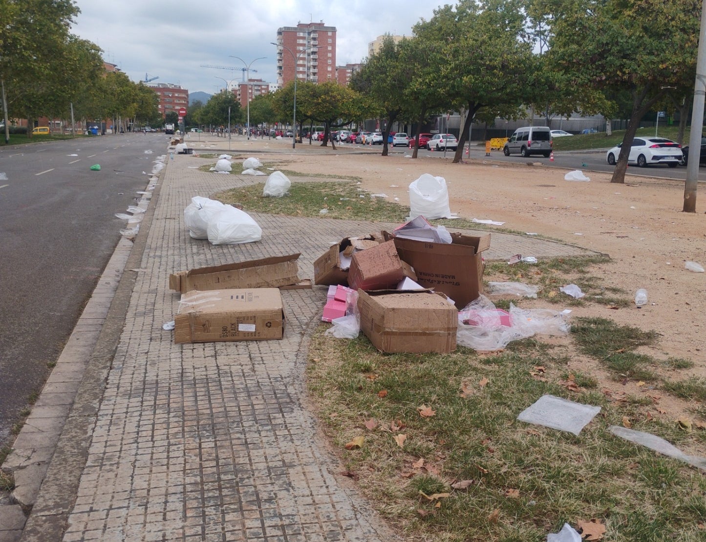 Escampall de brutícia després del Mercadal a la Béjar | CGT