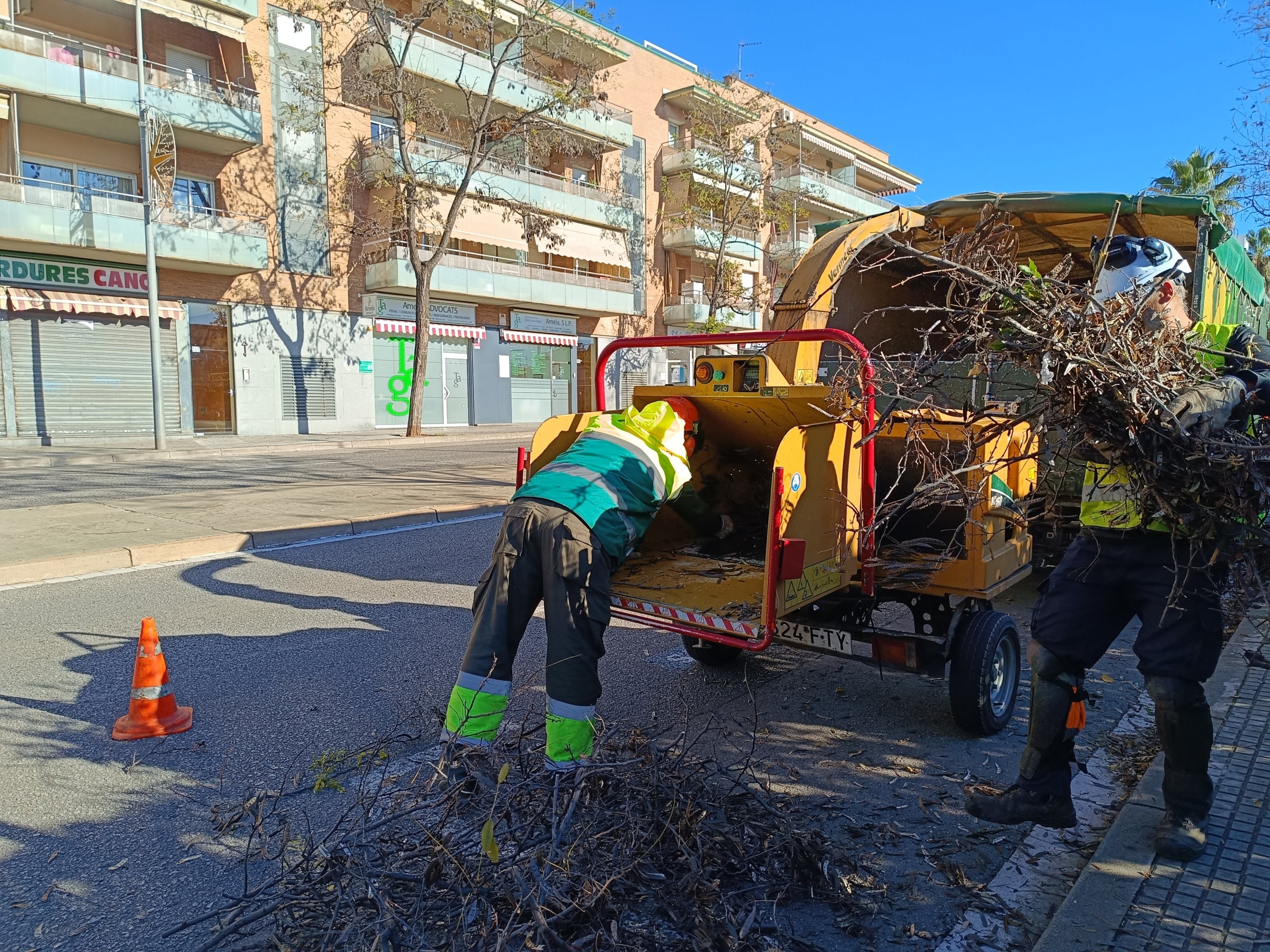 Treballs d'esporga d'arbres de Terrassa per hivern | Ajuntament de Terrassa
