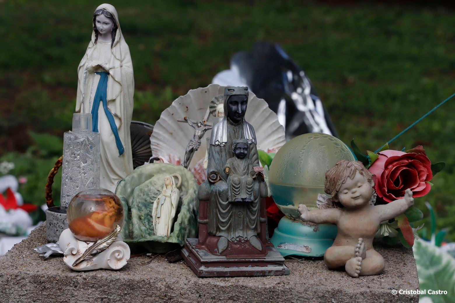 Cientos de terrassenses han visitado el cementerio de la ciudad este pasado viernes, 1 de noviembre, para recordar y rendir homenaje a sus difuntos | Cristóbal Castro