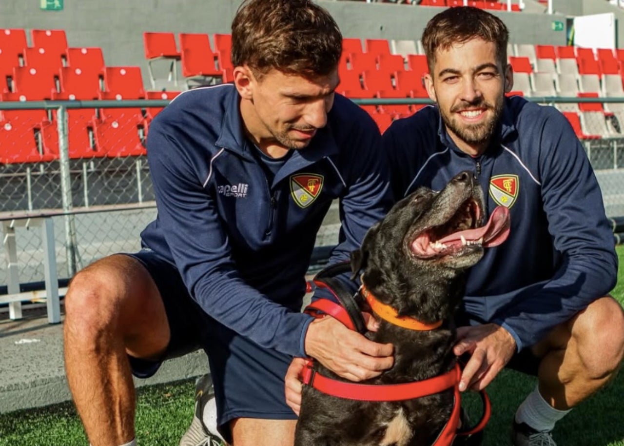 La Tina2, un dels gossos que han participat en l'acció per fomentar l'adopció | Terrassa FC