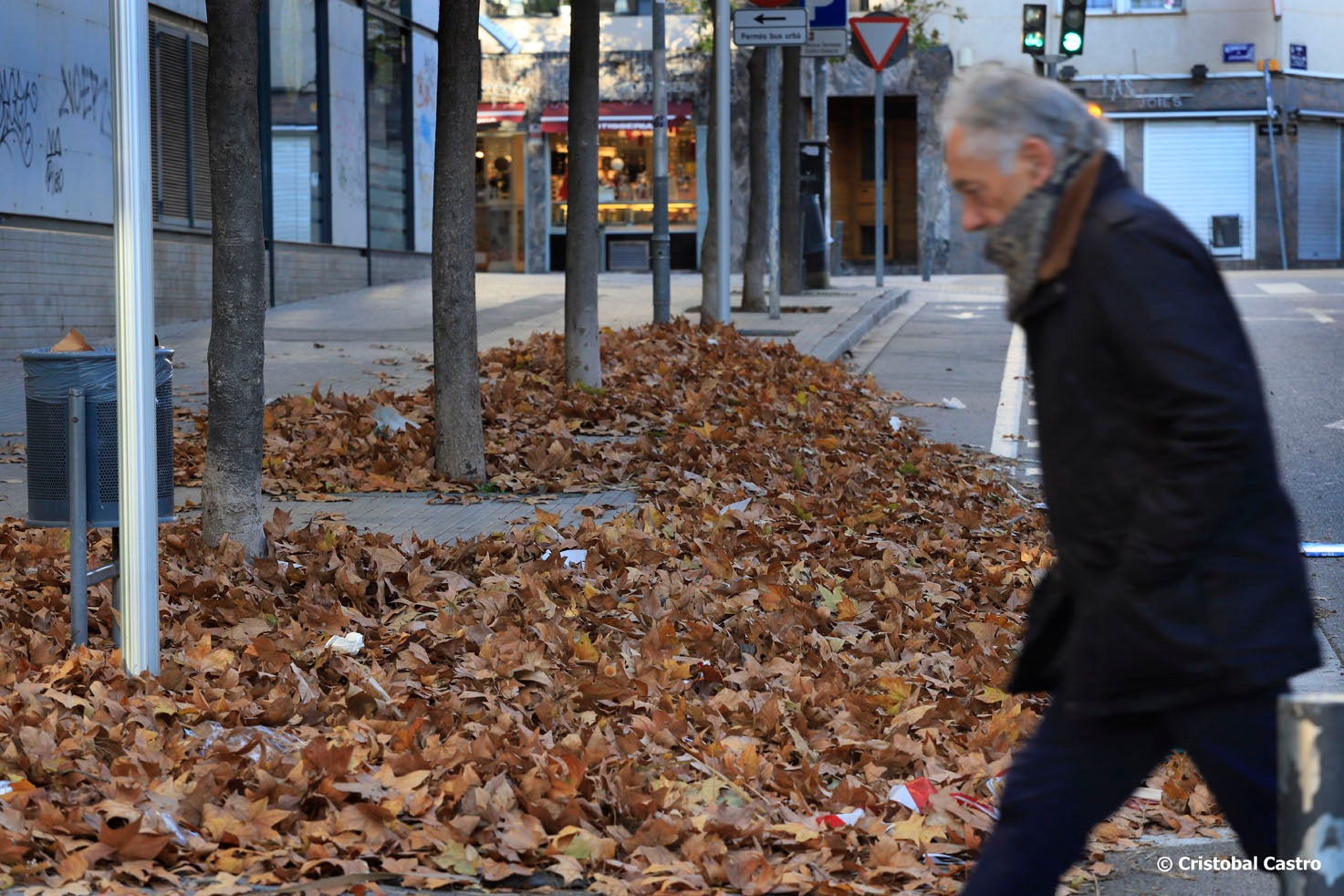 Fulles i vent a Terrassa/Cristóbal Castro