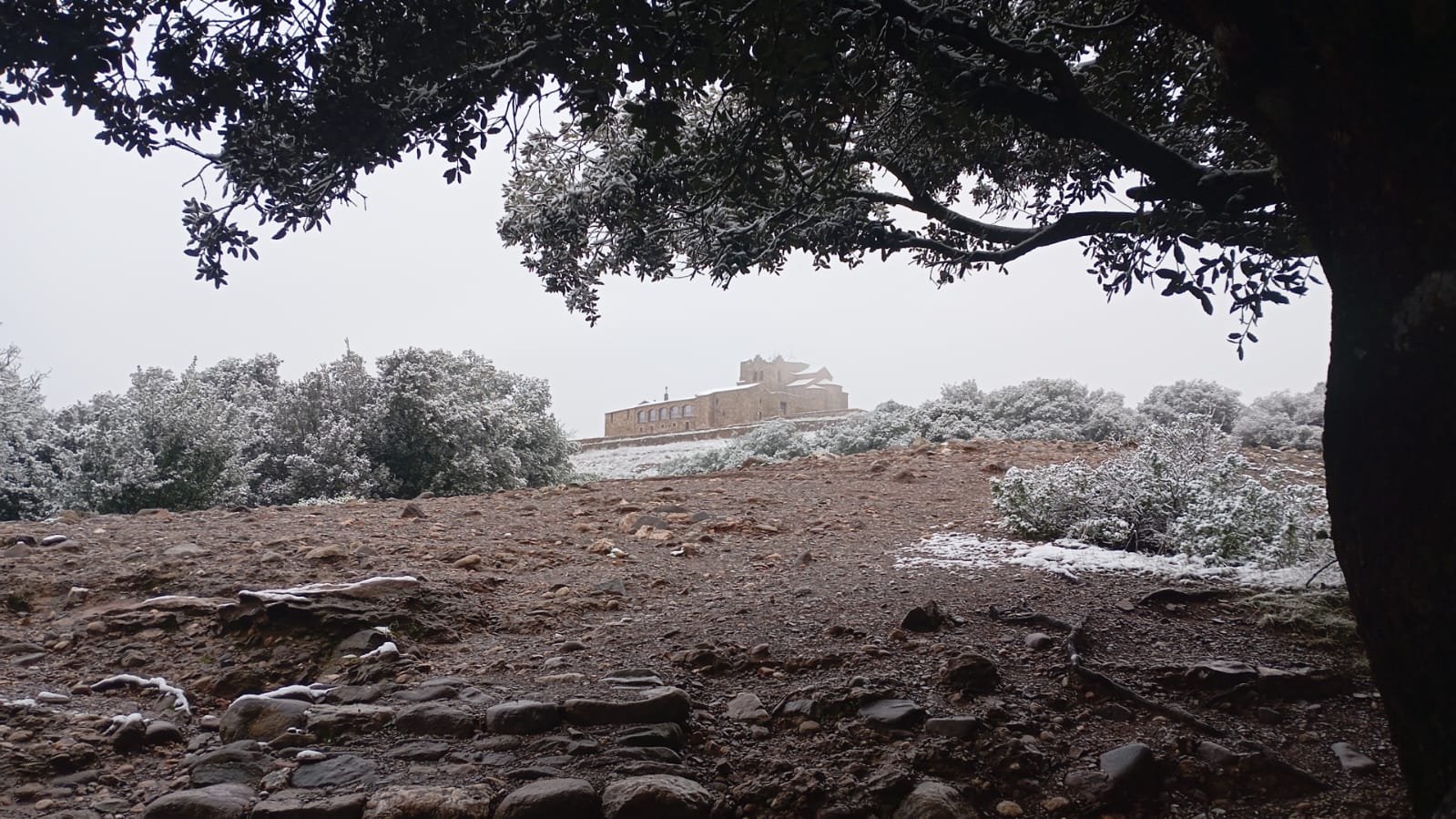 La Mola, nevada. Alguns valents han pujat a La Mola per veure la nevada que ha deixat el monestir i el cim més alt del Parc Natural de Sant Llorenç del Munt i l'Obac enfarinat/Timi Salabert