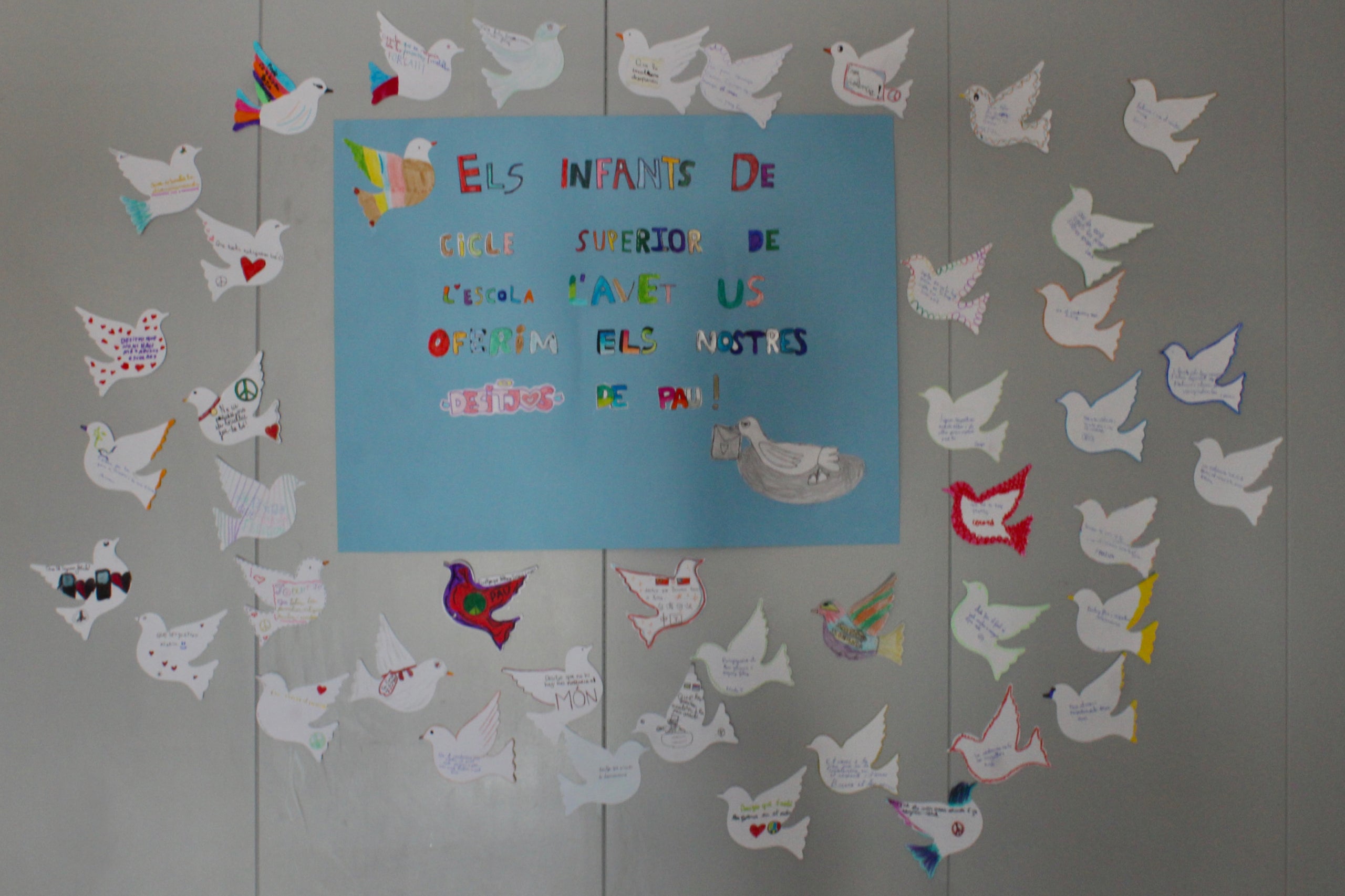 MútuaTerrassa ha estat un dels escenaris de l’acte de commemoració del Dia Escolar de la No-Violència i la Pau (DENIP). Els alumnes de Cicle Superior de l’escola L’Avet han estat al vestíbul de l’HUMT per reivindicar un món millor mitjançant l’entrega de missatges i desitjos en forma de coloms de la pau simbòlics. Els missatges romandran penjats a les parets amb el propòsit que puguin ser amplificats i arribin a tota la població. El lliurament d’aquestes reflexions es durà a terme paral·lelament en diferents llocs emblemàtics de la ciutat, com l’Ajuntament, el Club Natació Terrassa o llars d’avis, entre altres espais.