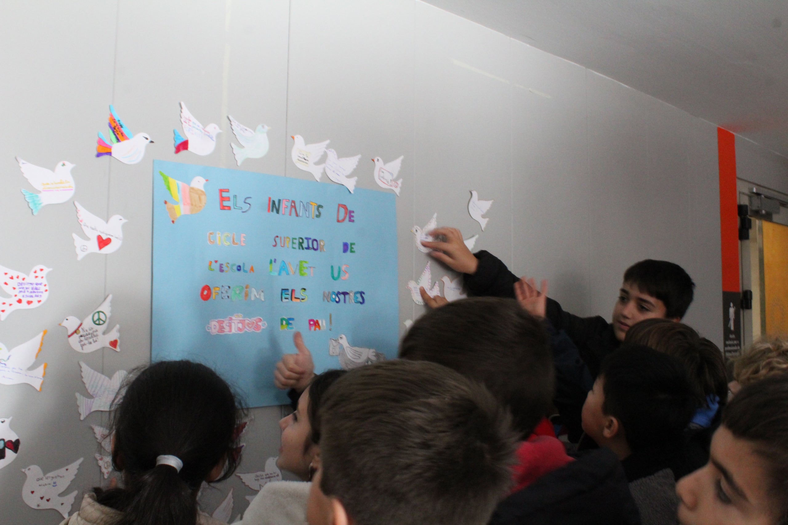 MútuaTerrassa ha estat un dels escenaris de l’acte de commemoració del Dia Escolar de la No-Violència i la Pau (DENIP). Els alumnes de Cicle Superior de l’escola L’Avet han estat al vestíbul de l’HUMT per reivindicar un món millor mitjançant l’entrega de missatges i desitjos en forma de coloms de la pau simbòlics. Els missatges romandran penjats a les parets amb el propòsit que puguin ser amplificats i arribin a tota la població. El lliurament d’aquestes reflexions es durà a terme paral·lelament en diferents llocs emblemàtics de la ciutat, com l’Ajuntament, el Club Natació Terrassa o llars d’avis, entre altres espais.