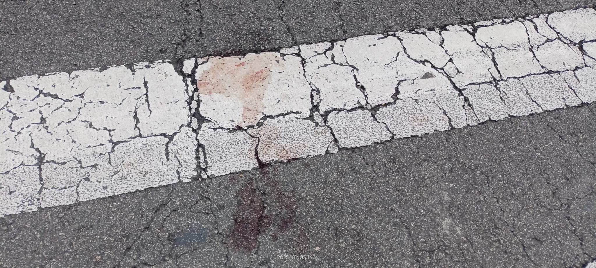 Pas de vianants de la polèmica/cedida