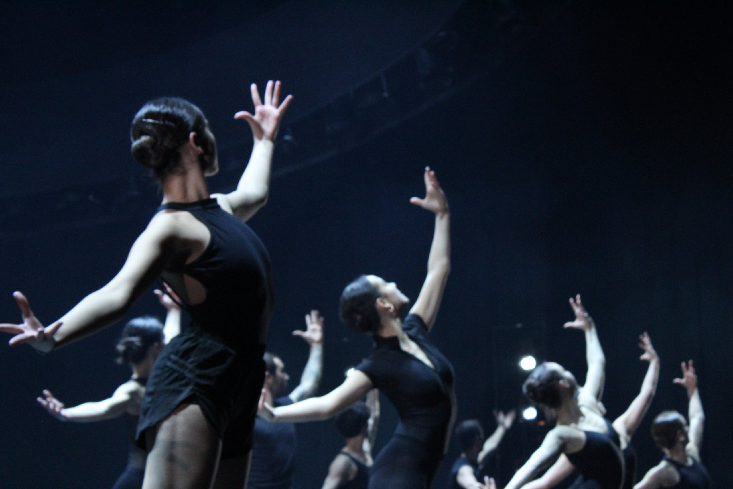 La companyia de dansa de LaFACT, Factoria en dansa, estrena “Carmina Burana” | Lucia Rivera