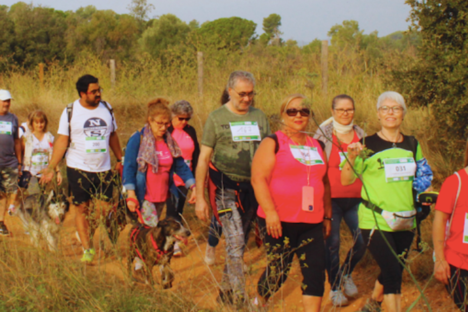 La Creu Roja organitza la segona caminada solidària a Terrassa | Creu Roja de Terrassa
