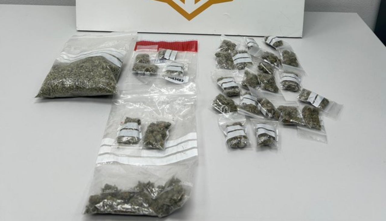 Marihuana comissada | Policia Municipal de Terrassa