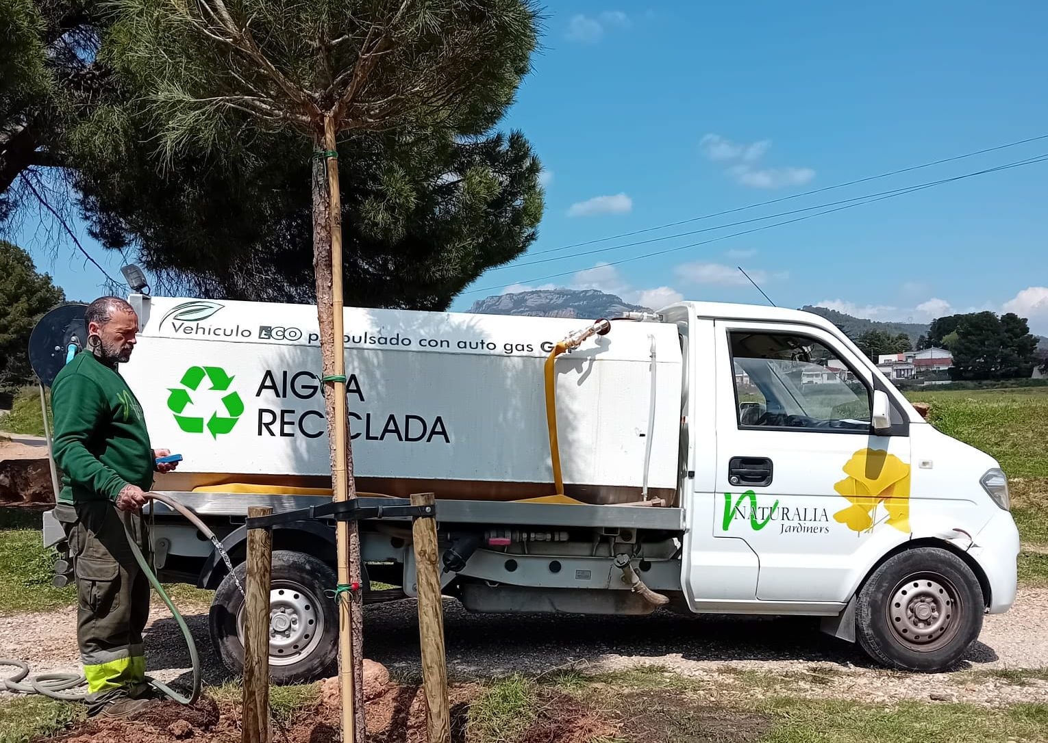 Plantada d'arbres a l'Anella Verda | Aj. Terrassa