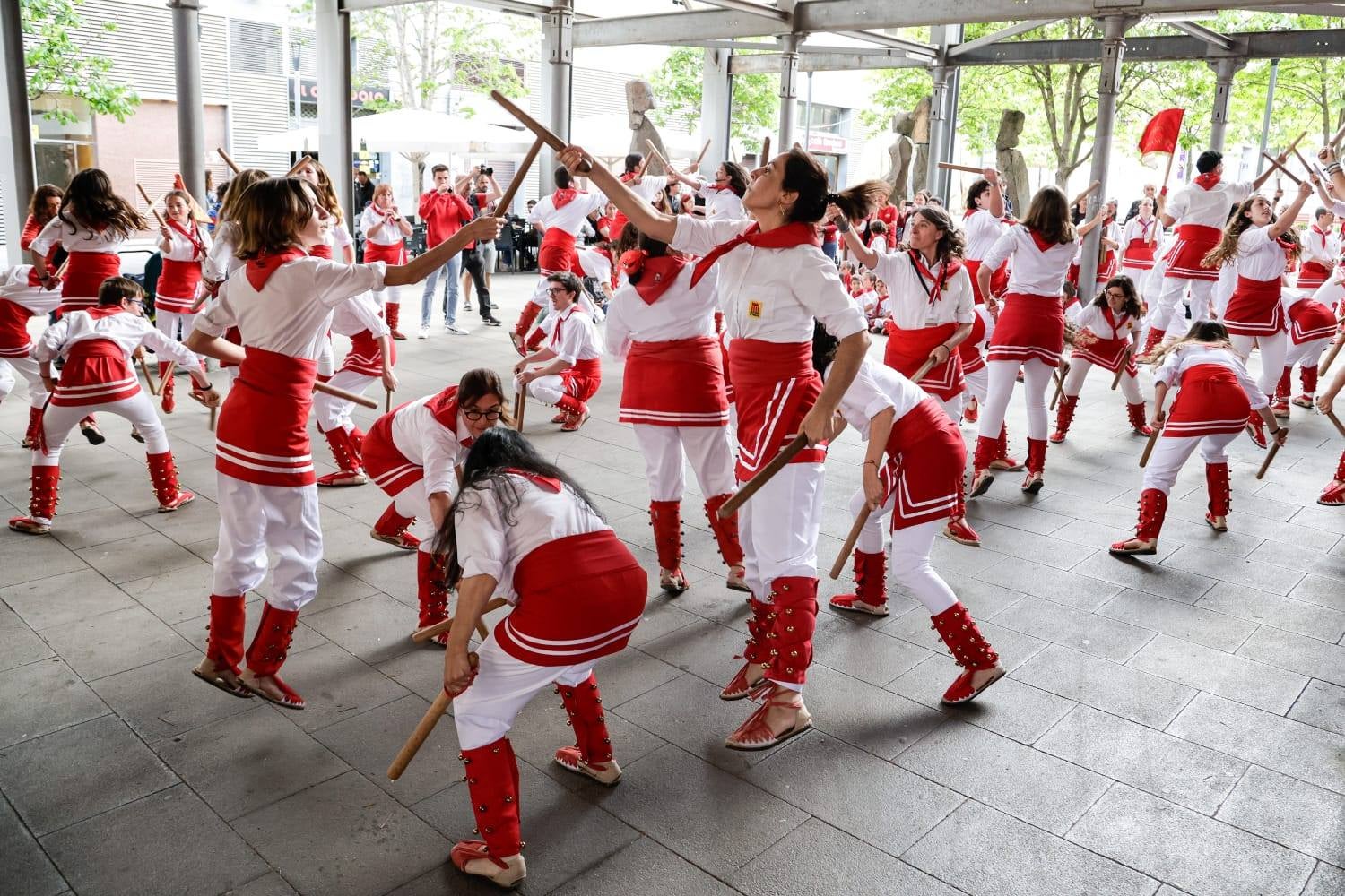 Diada dels Bastoners de Terrassa | Cedida