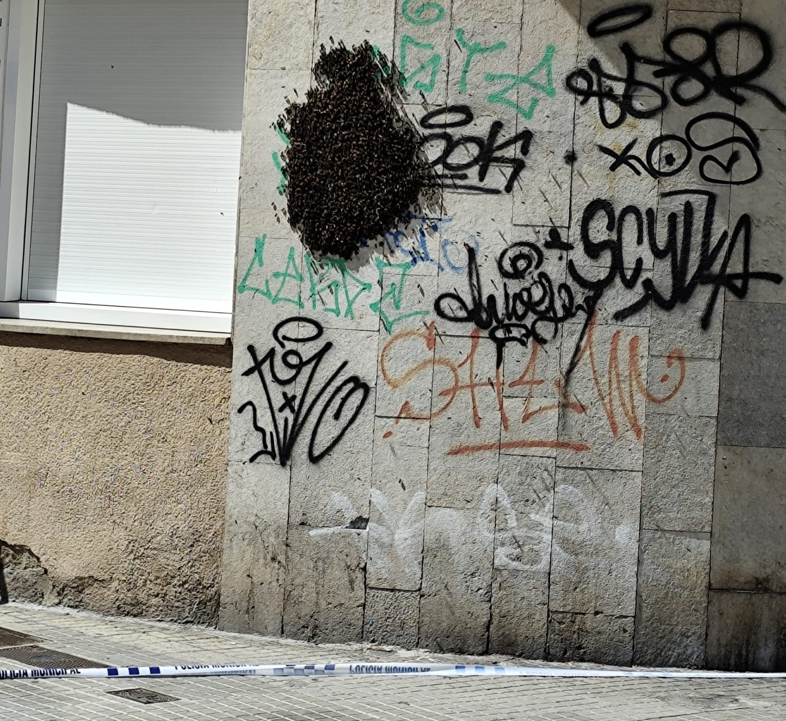 Eixam enorme d'abelles a una paret de Galileu, a la porta del Parc de Sant Jordi | Lídia Ordeix