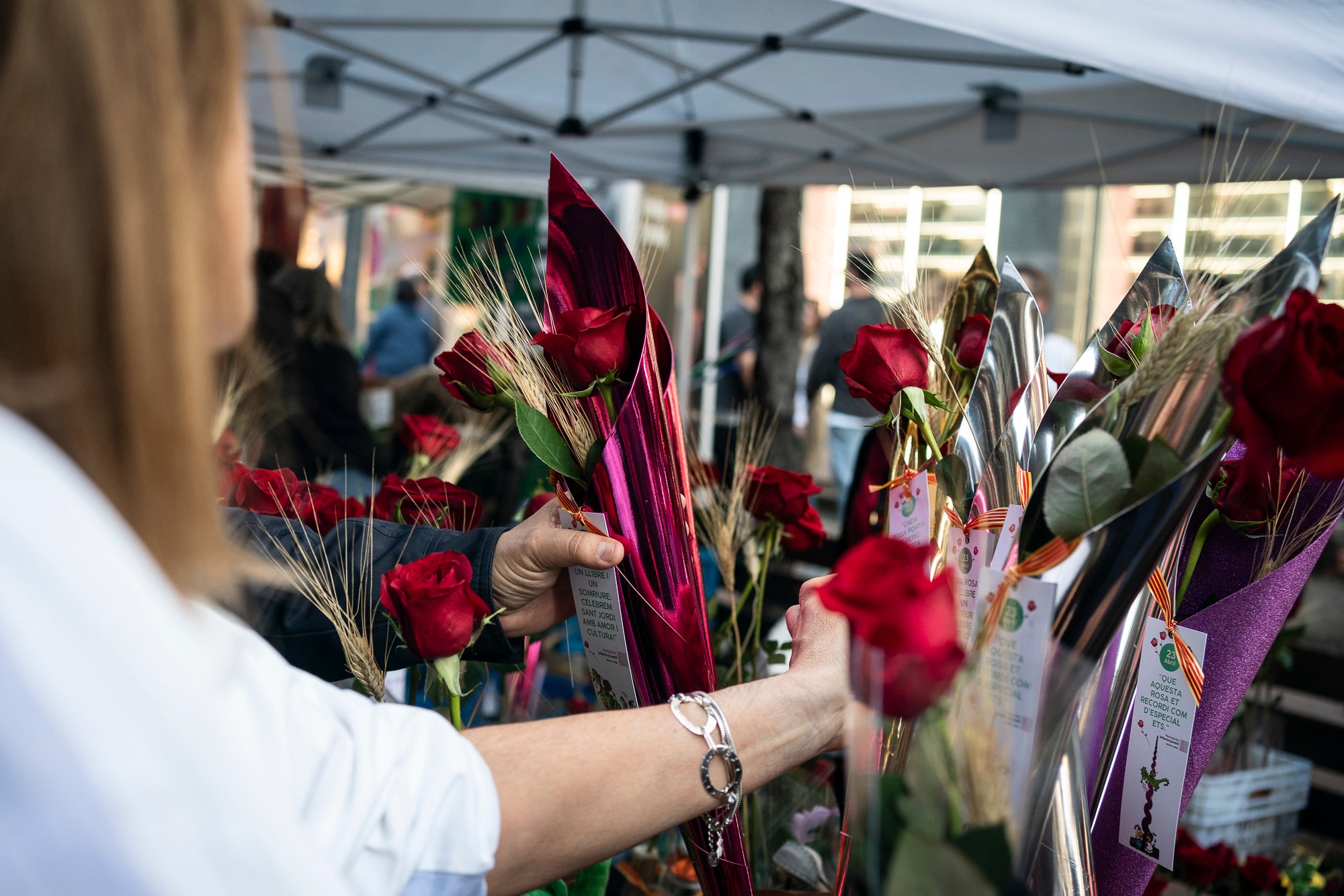 Diada de Sant Jordi 23.04.2025 / Mireia Comas