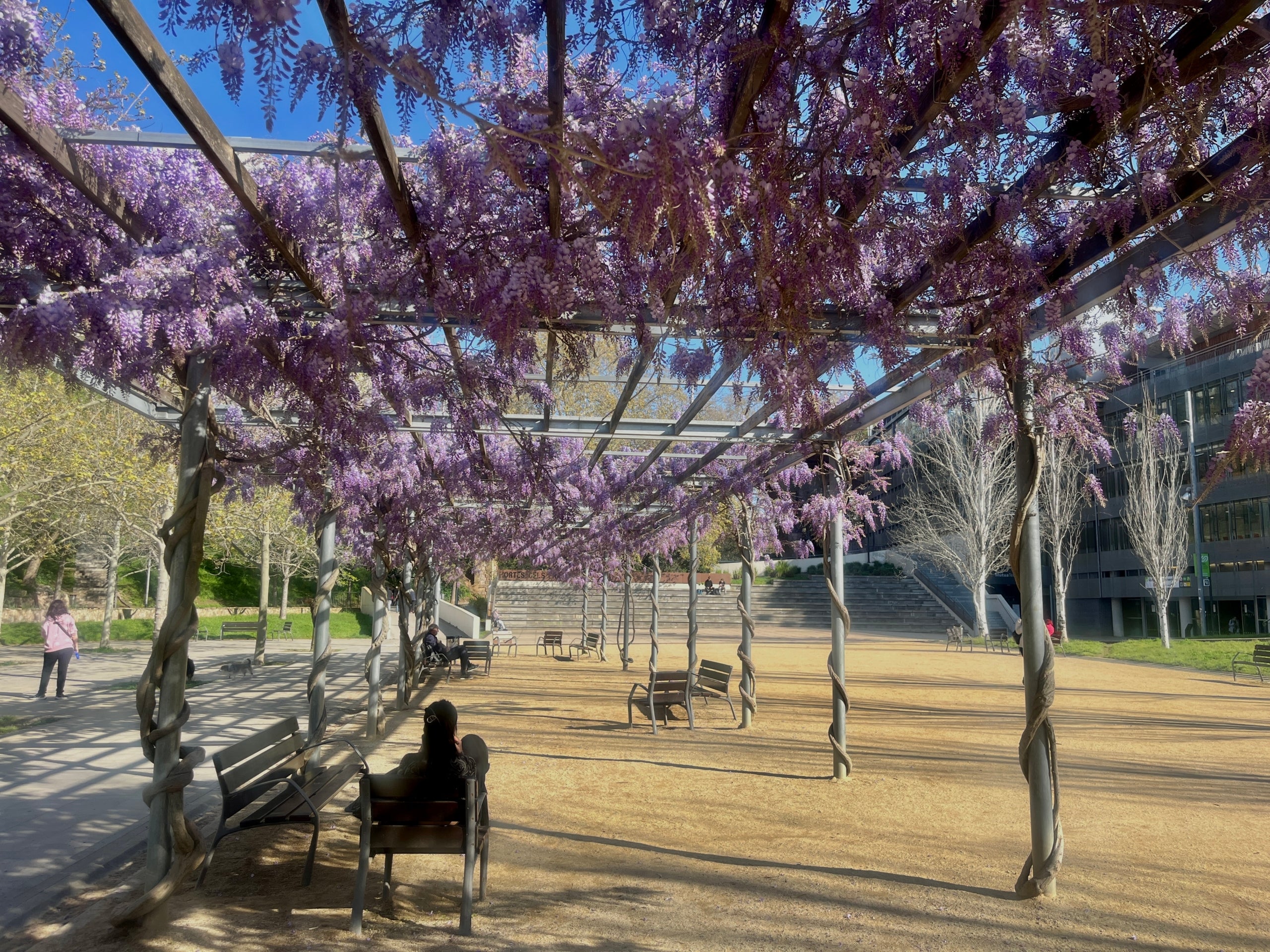 El Parc de Vallparadís és un dels espais més apreciats pels terrassencs | Lucía Rivera