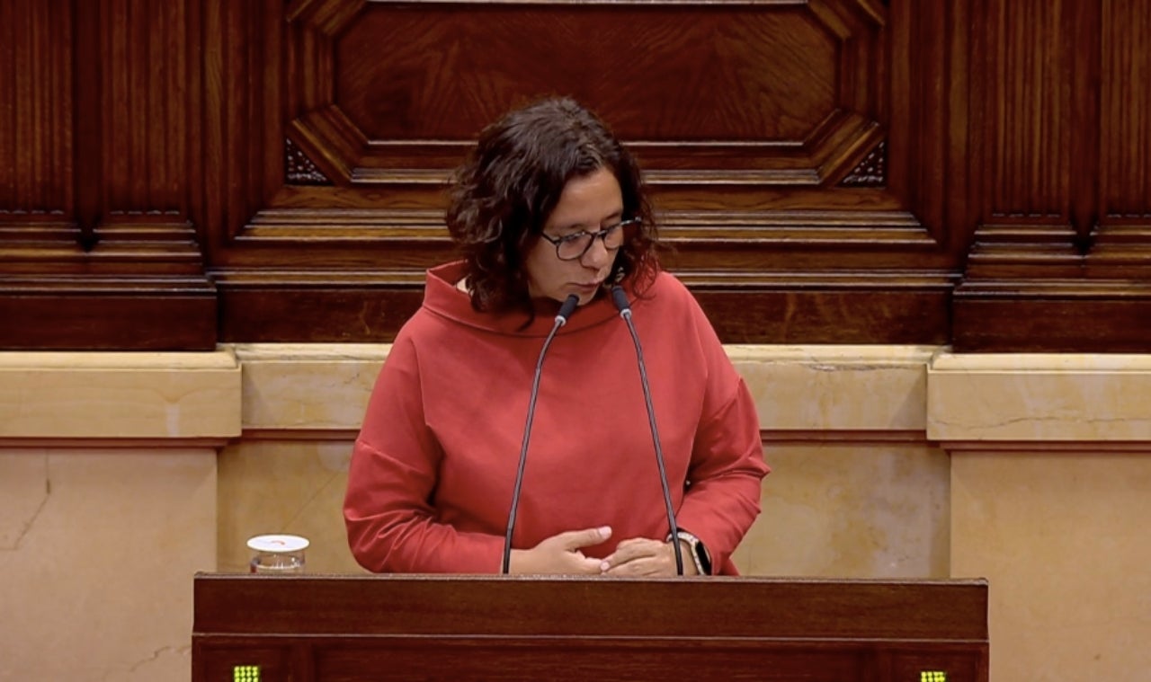 Susana Segovia, dels Comuns, ha portat el conflicte del Karmel al Parlament | Parlament.cat