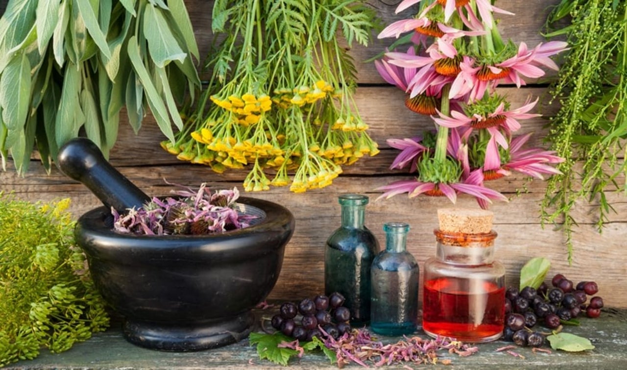 Herbes remeieres | Diba