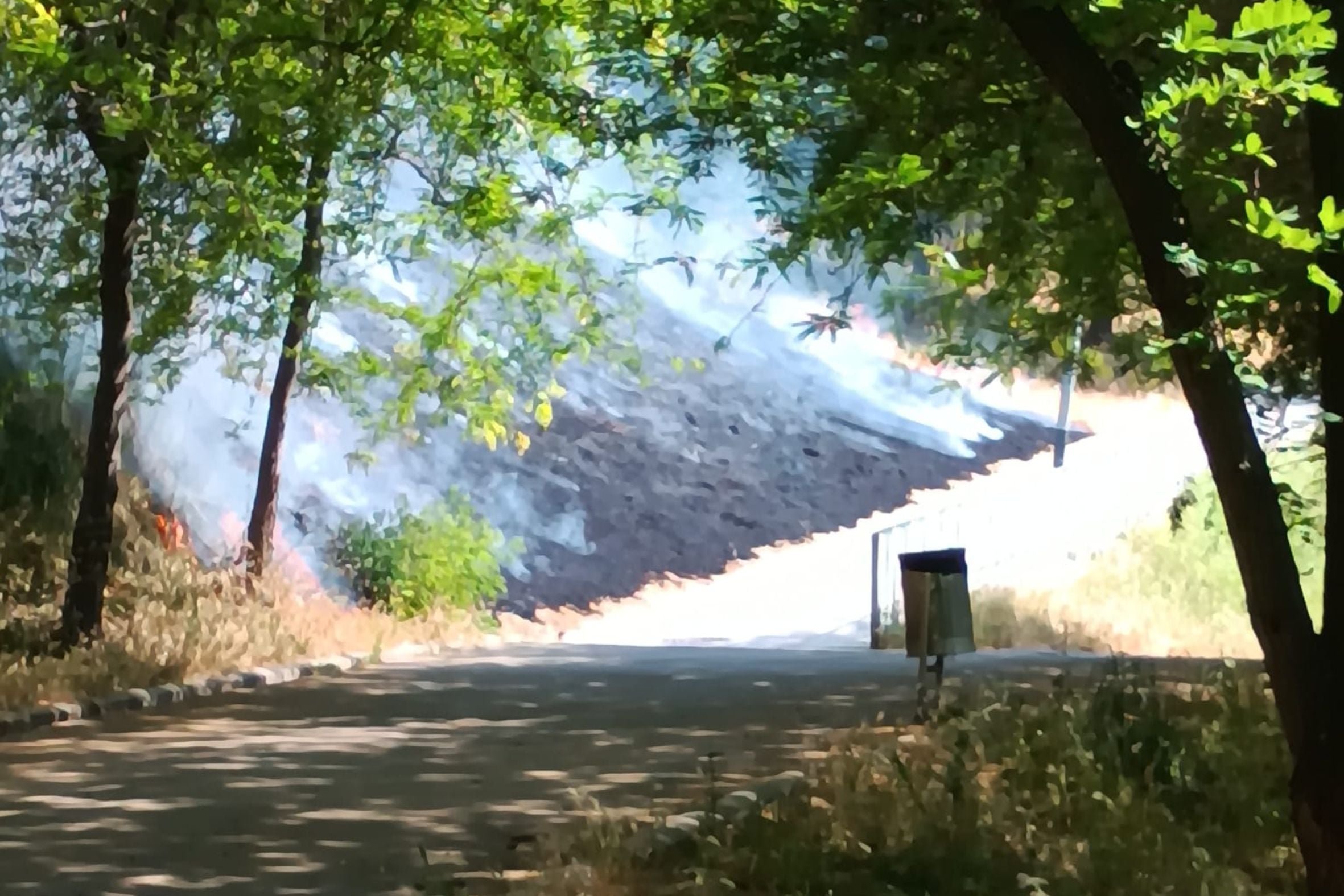 Actuació dels Bombers a Terrassa per un incendi al Parc de Vallparadís | M.F.
