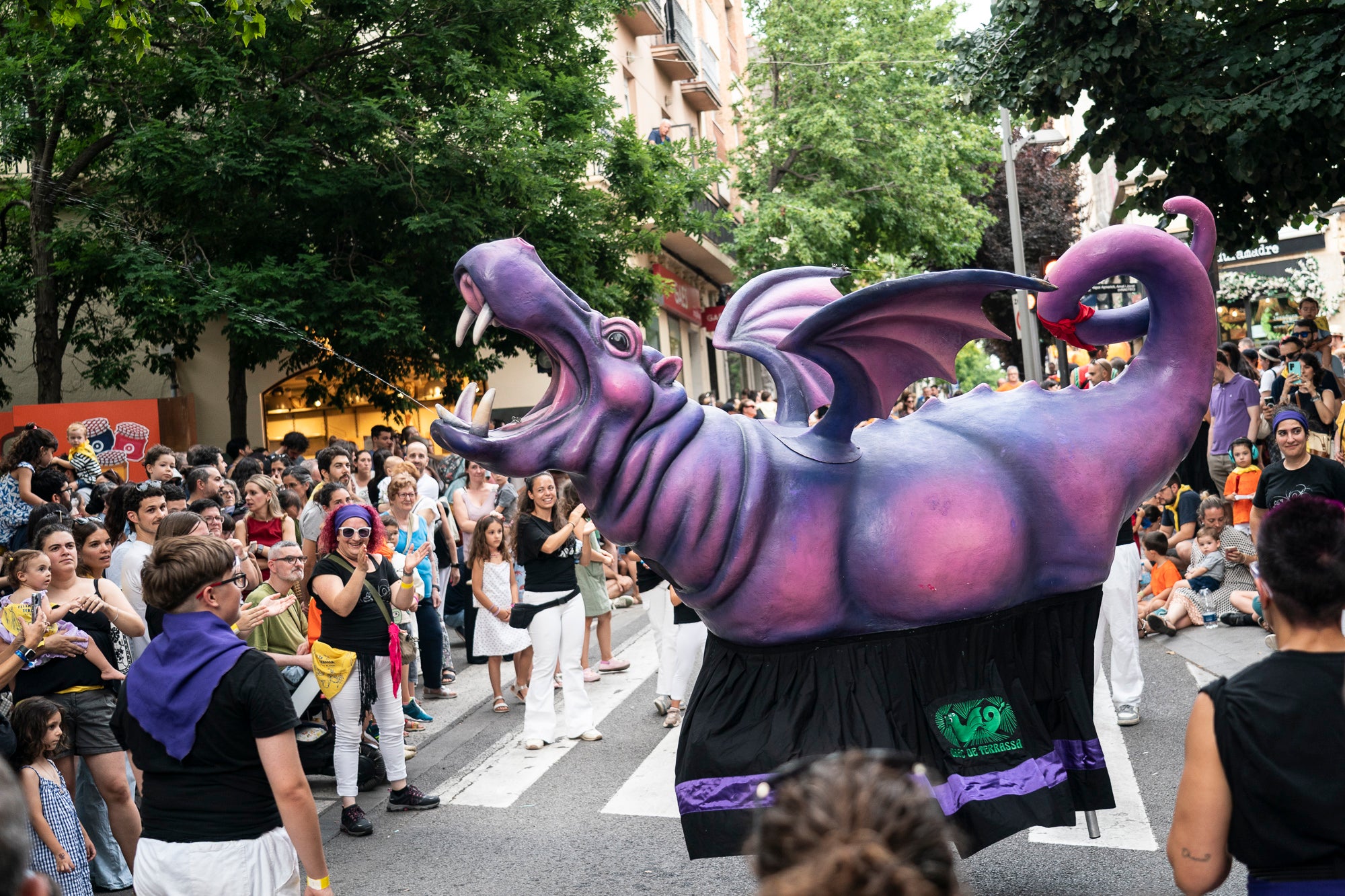 La figura de la Hippa a la Cercavila de Festa Major 2025 | Mireia Comas