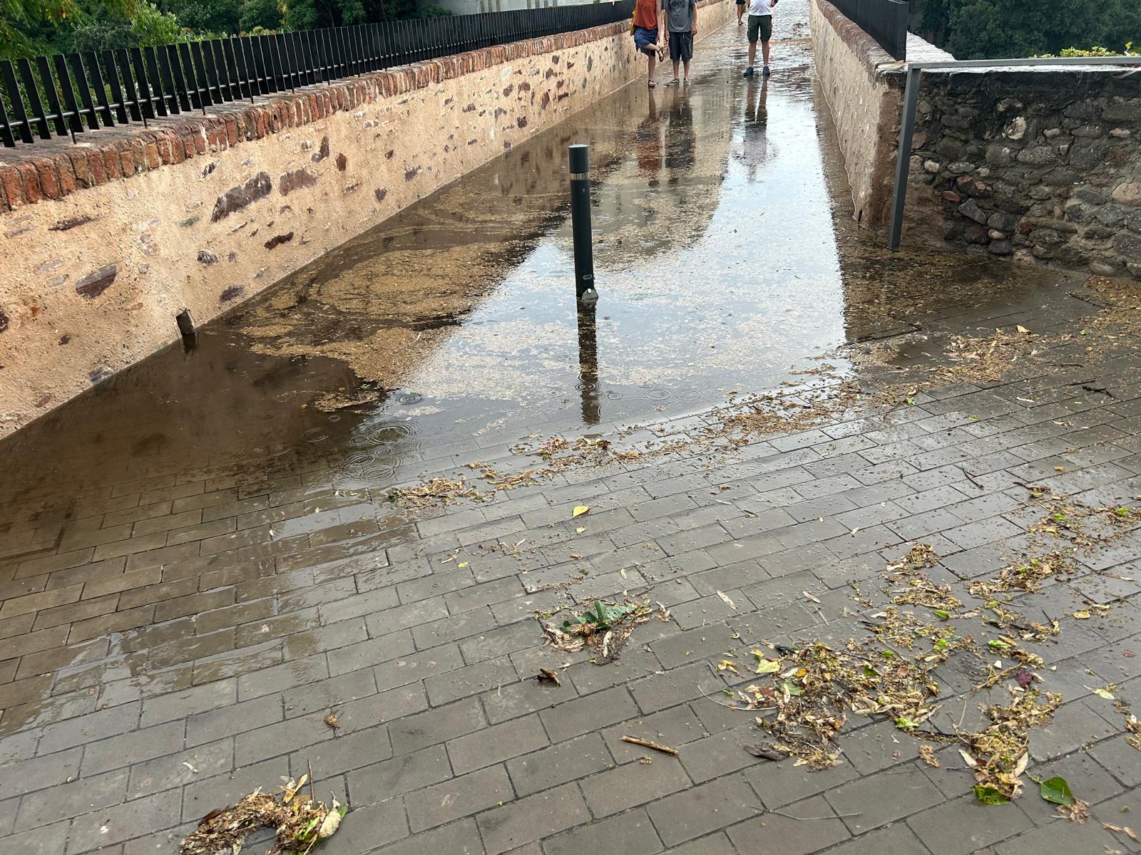 La bassa d'aigua aquest dijous al pont de Sant Pere | Javier Gilabert