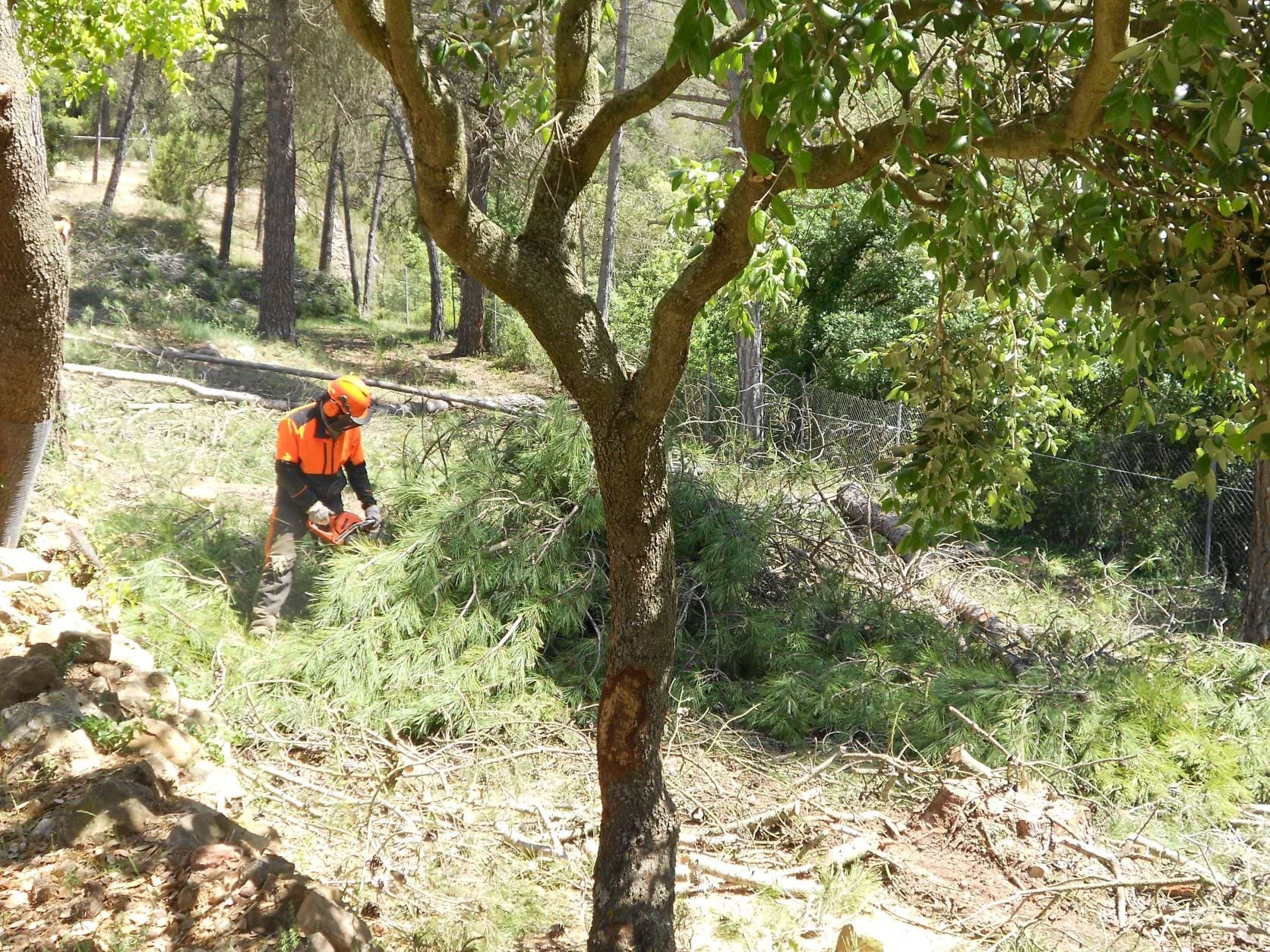 L'ADF fent tasques de prevenció d'incendis | Diputació de Barcelona