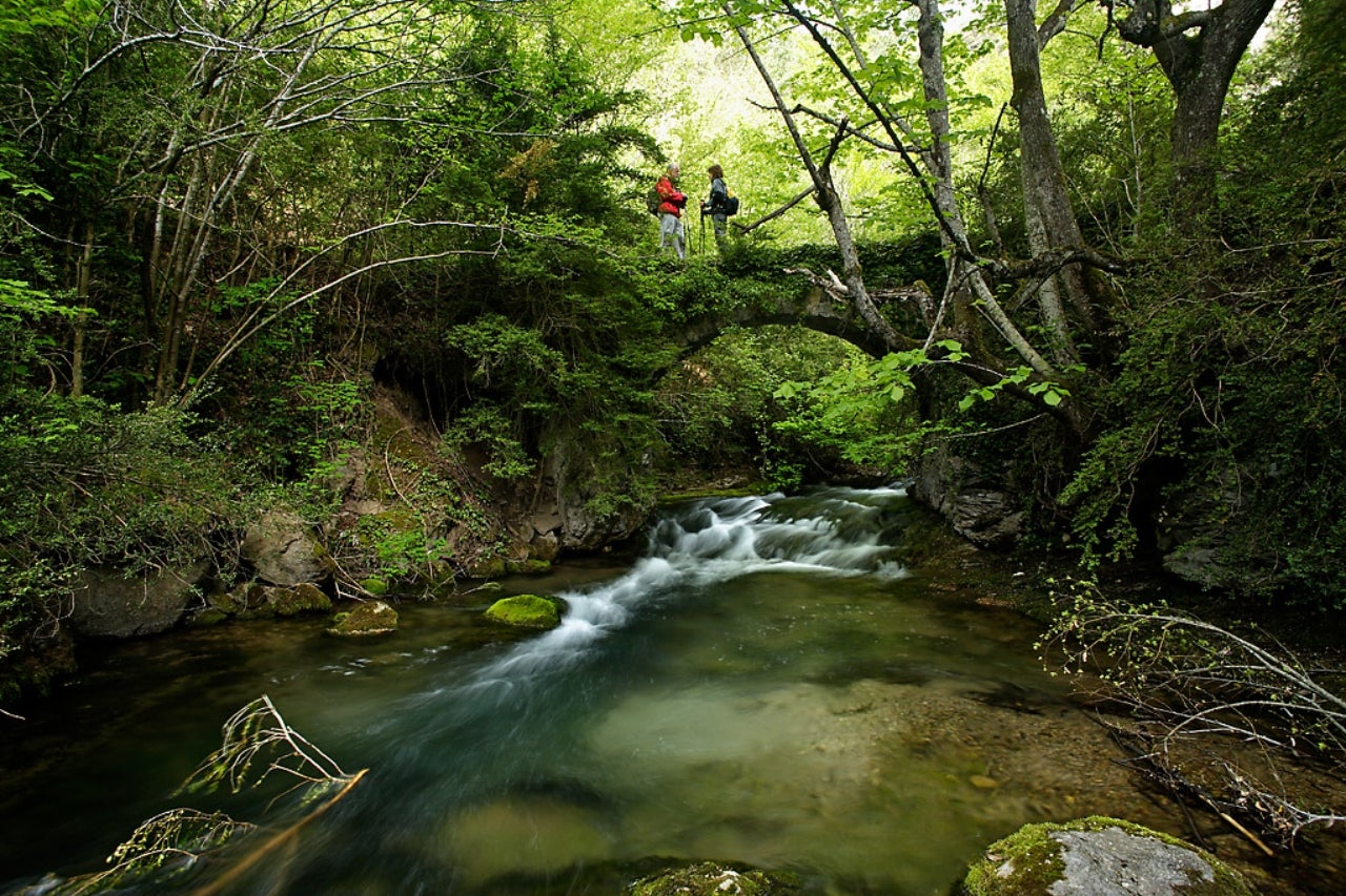 Pont dels Empedrats, camí ral del coll de Pendís, vall de Pendís, Parc Natural del Cadí-Moixeró
Guardiola de Berguedà | ElBergueda.cat